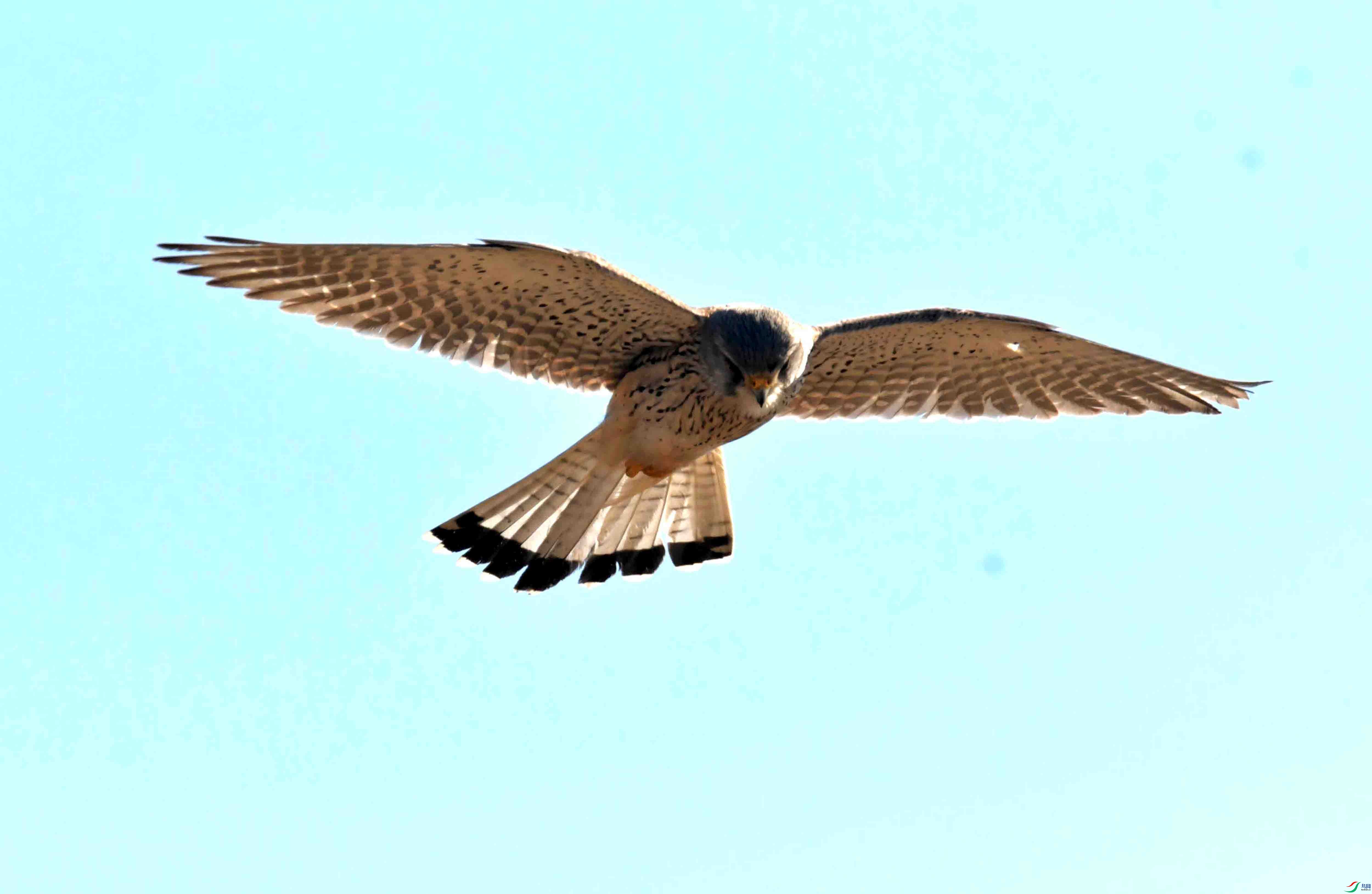 DSC_2893.JPG