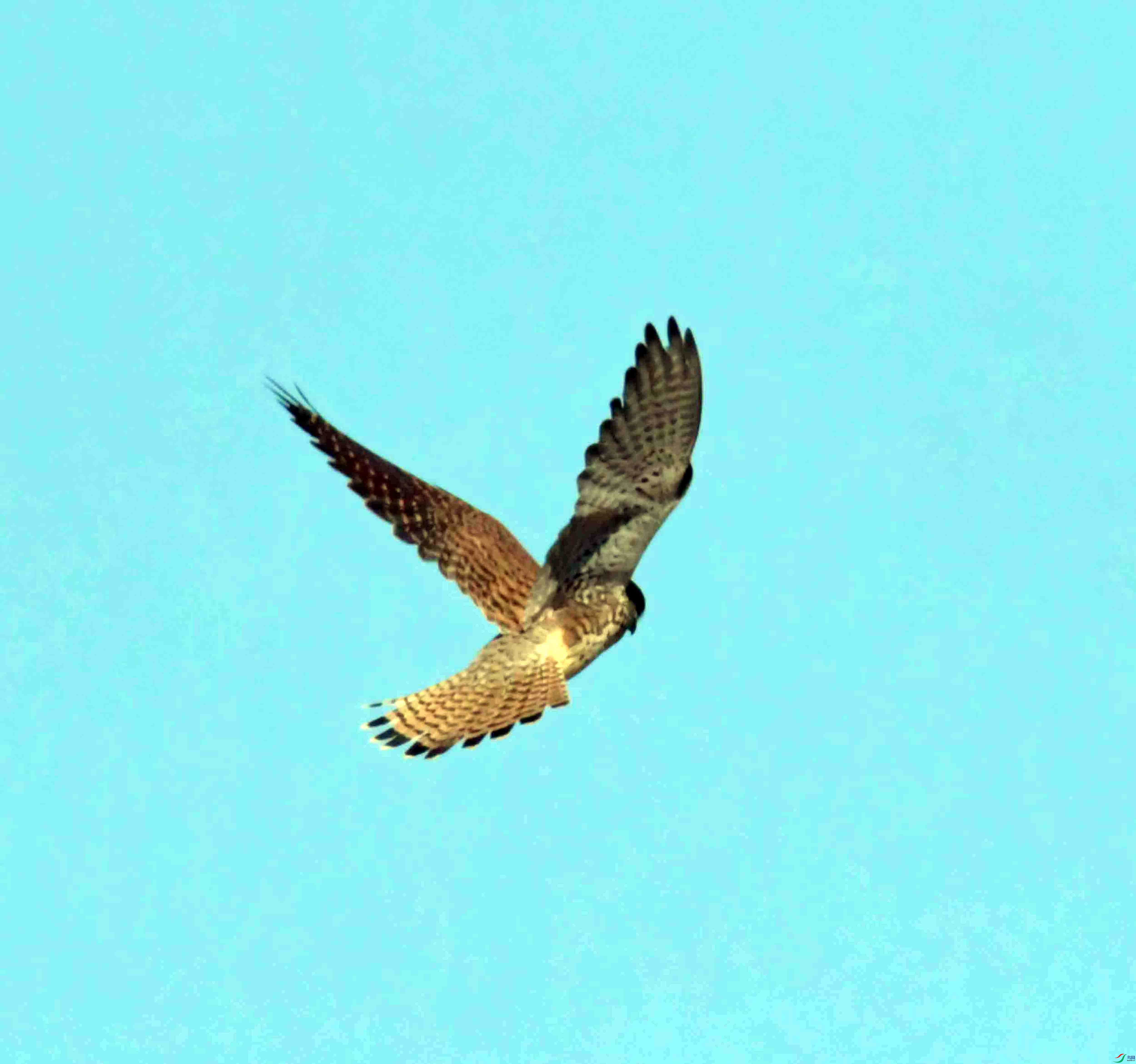 DSC_3126.JPG