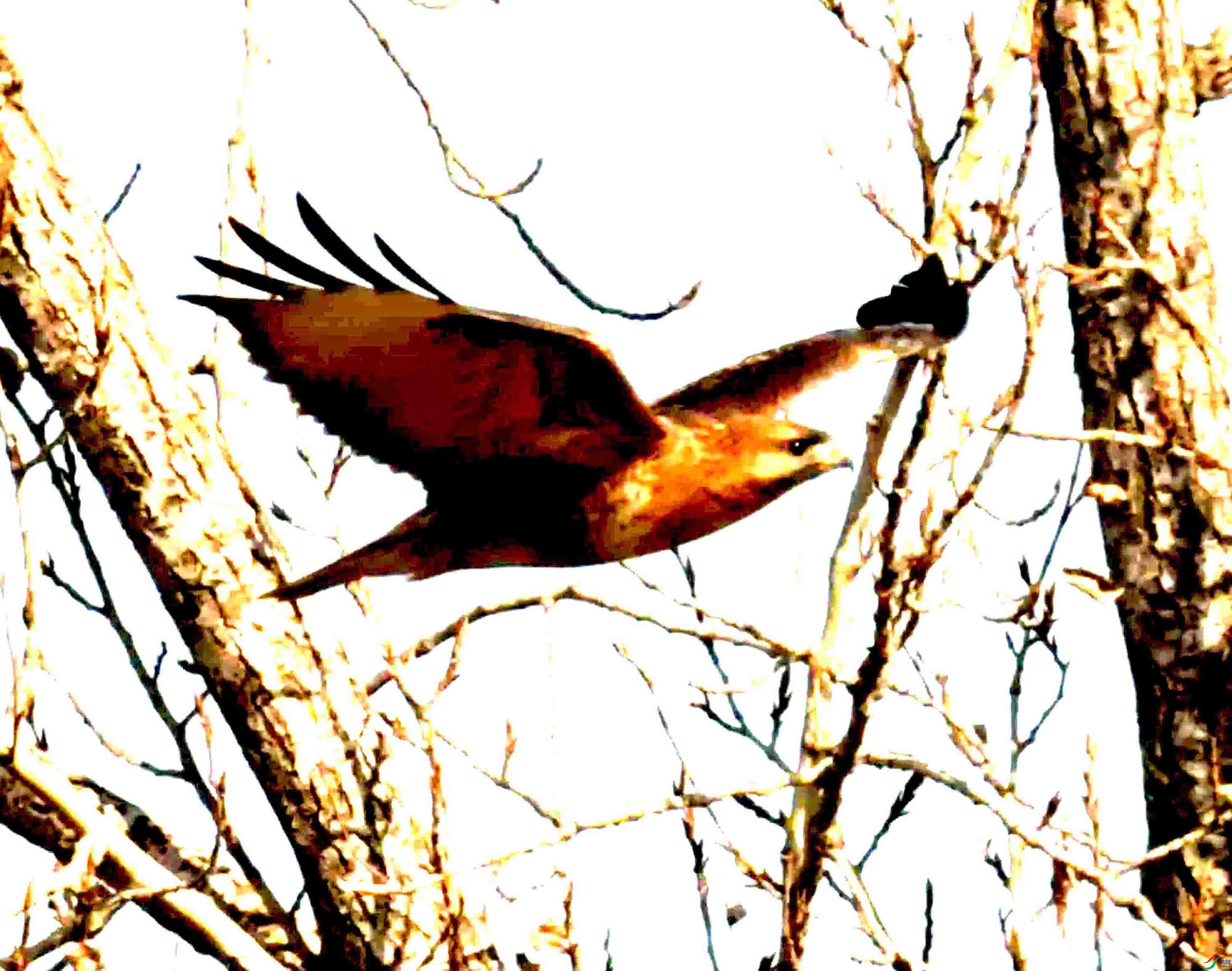 DSC_2394.JPG
