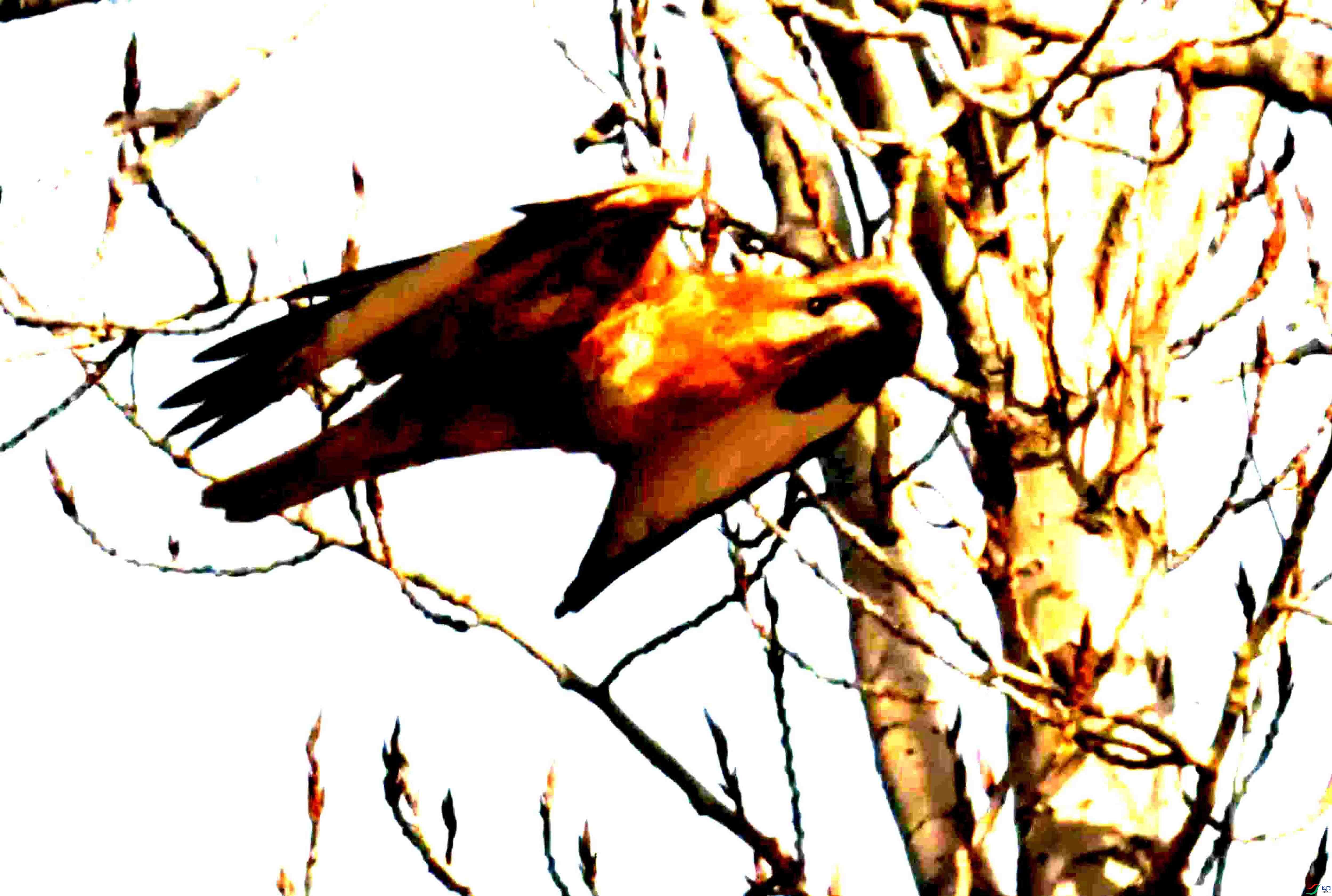 DSC_2397.JPG