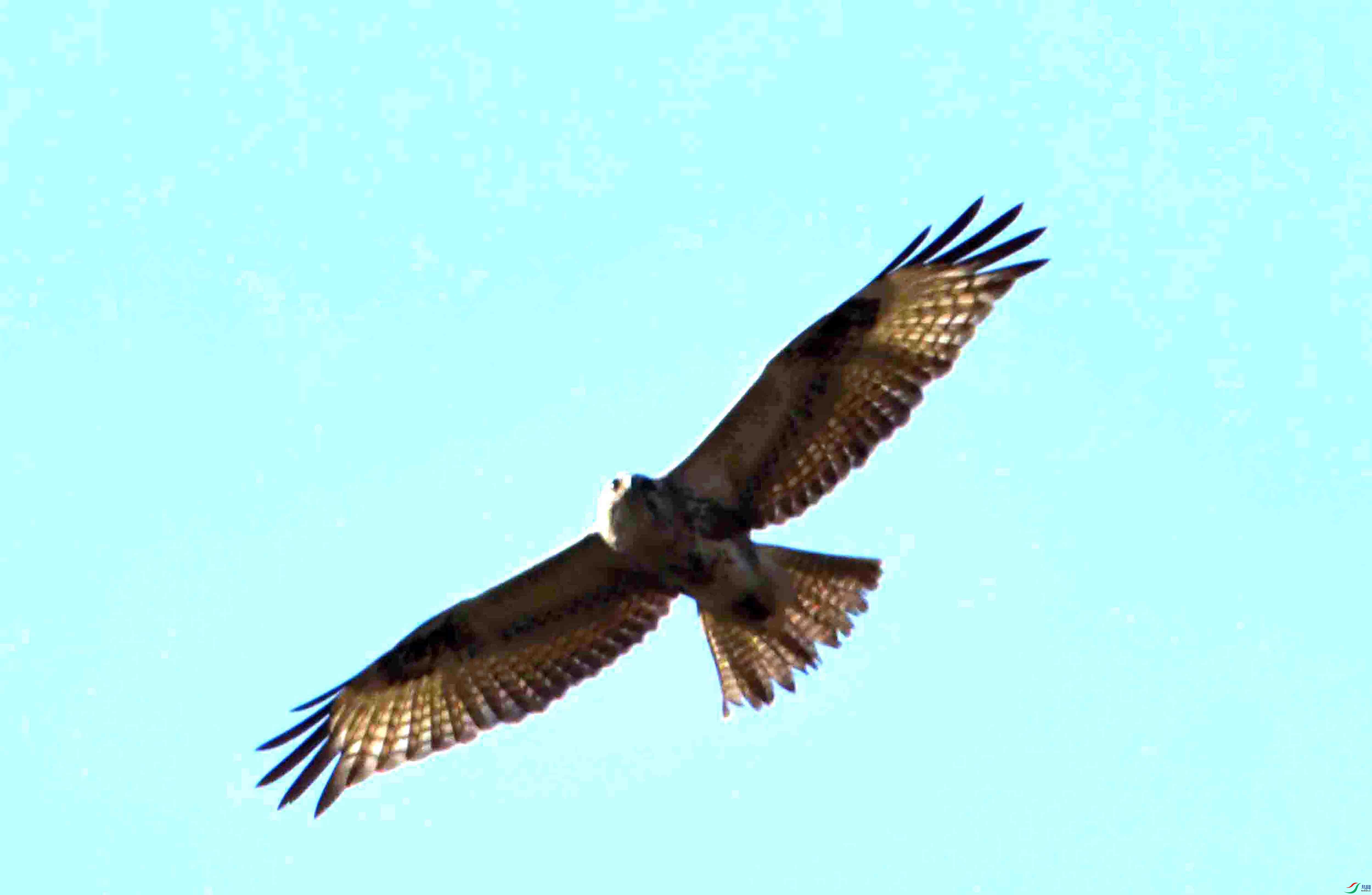 DSC_2431.JPG