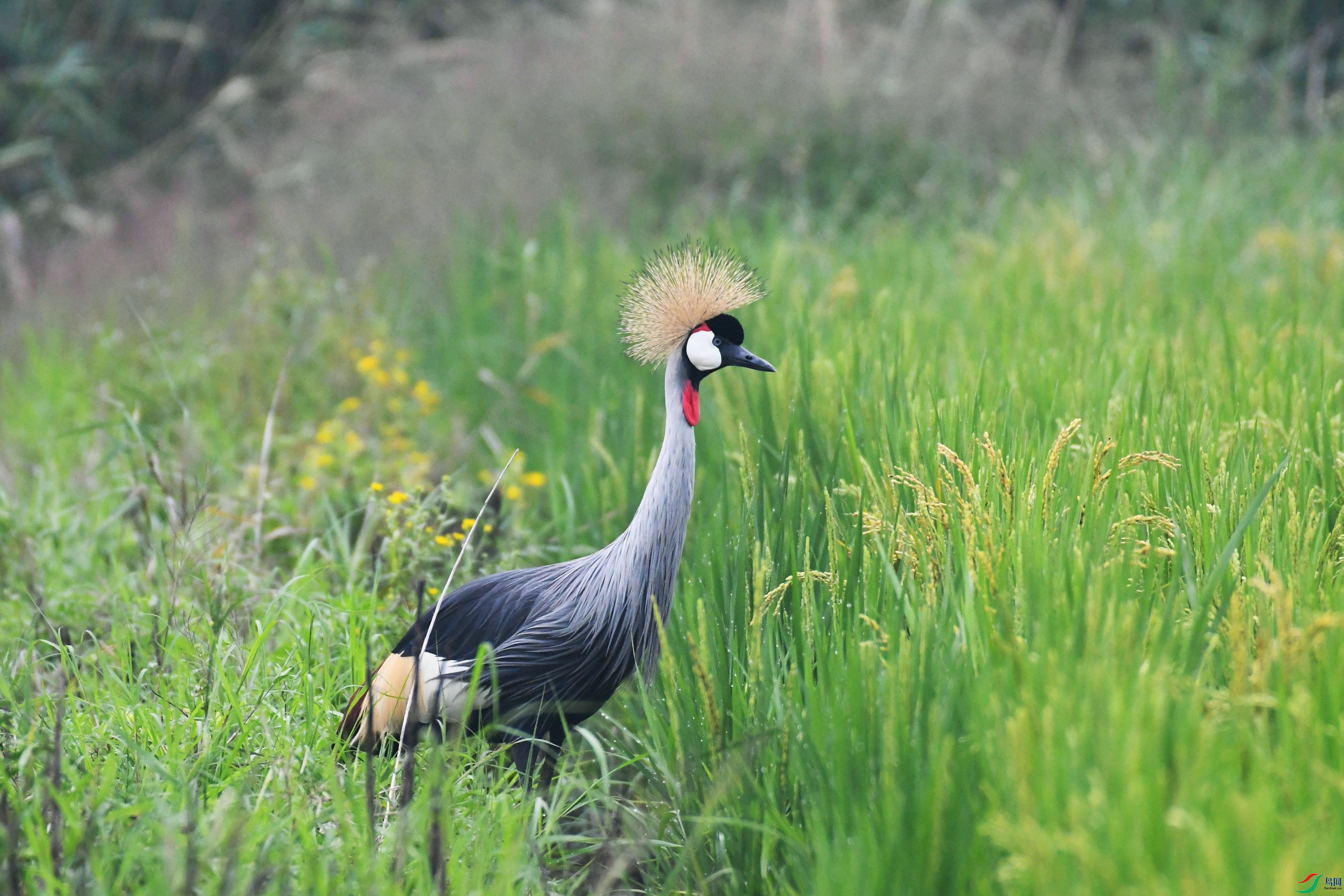 DSC_6181.JPG