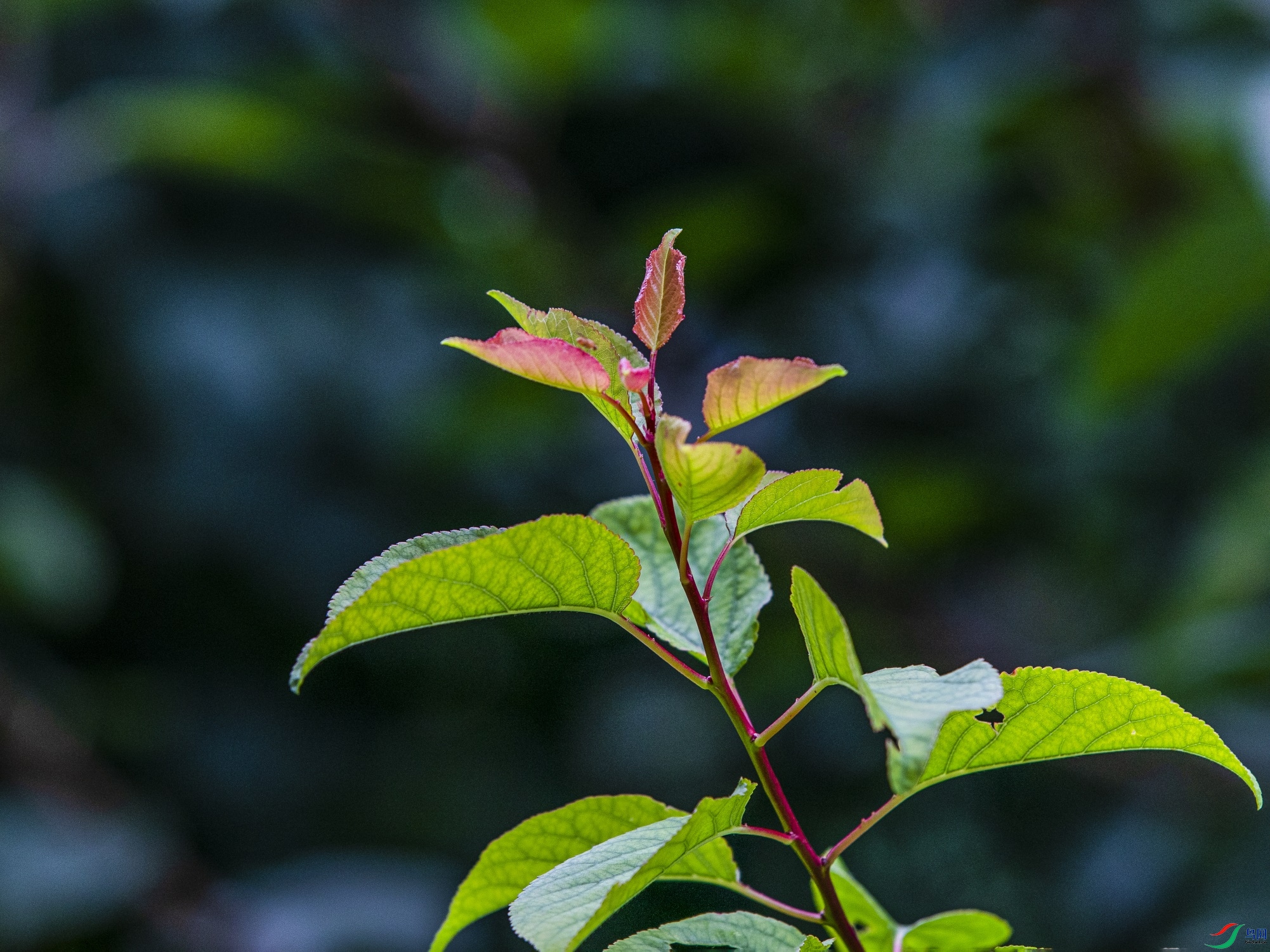 CY4A9776 ����1.jpg