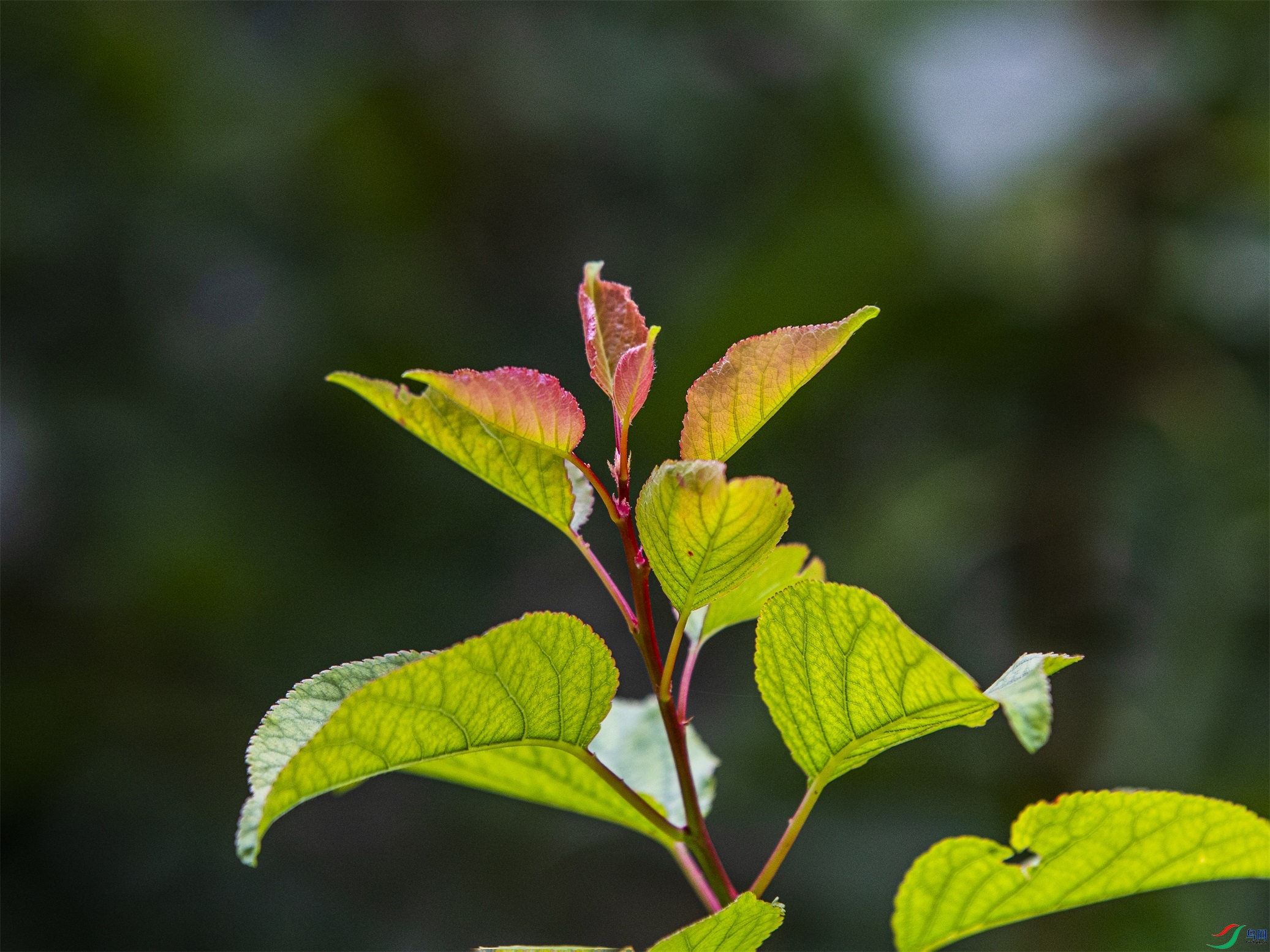 CY4A9775 ����1.jpg