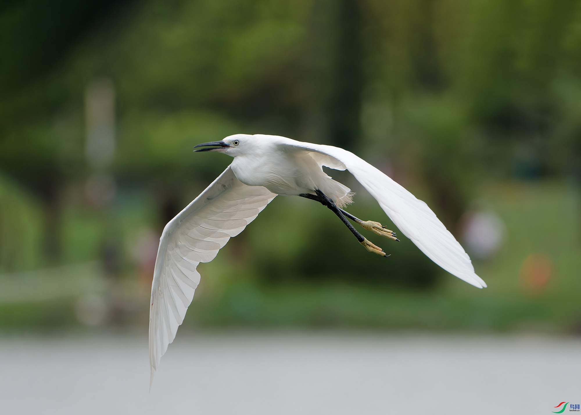 DSC_9875.jpg