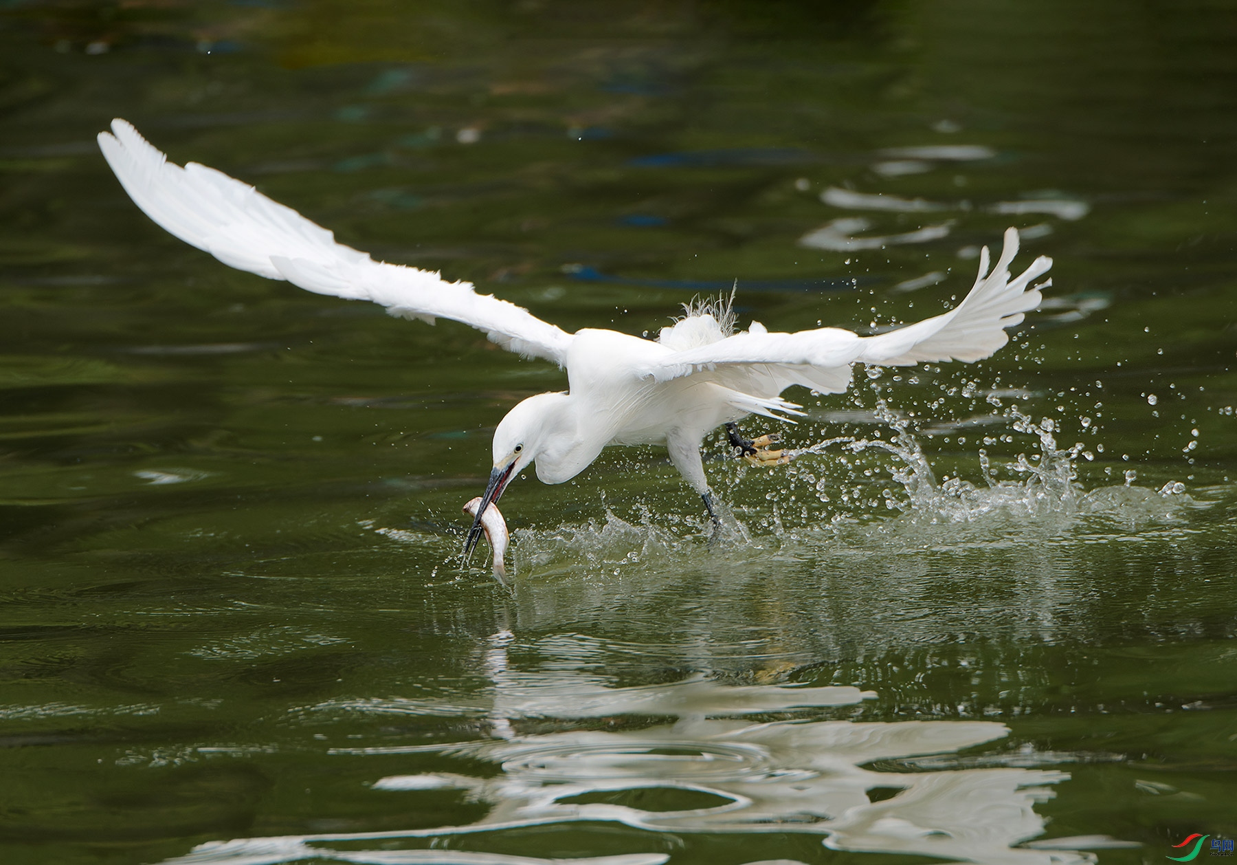 DSC_9974.jpg