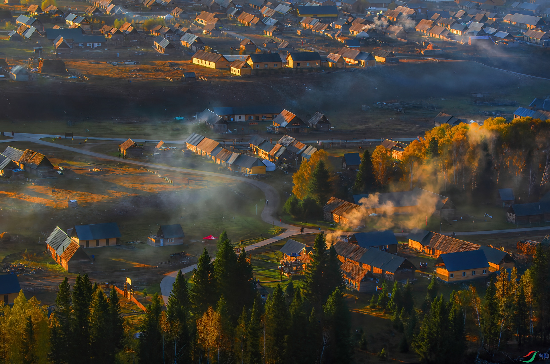 _DSC9261-��ľ�� - AAA.jpg