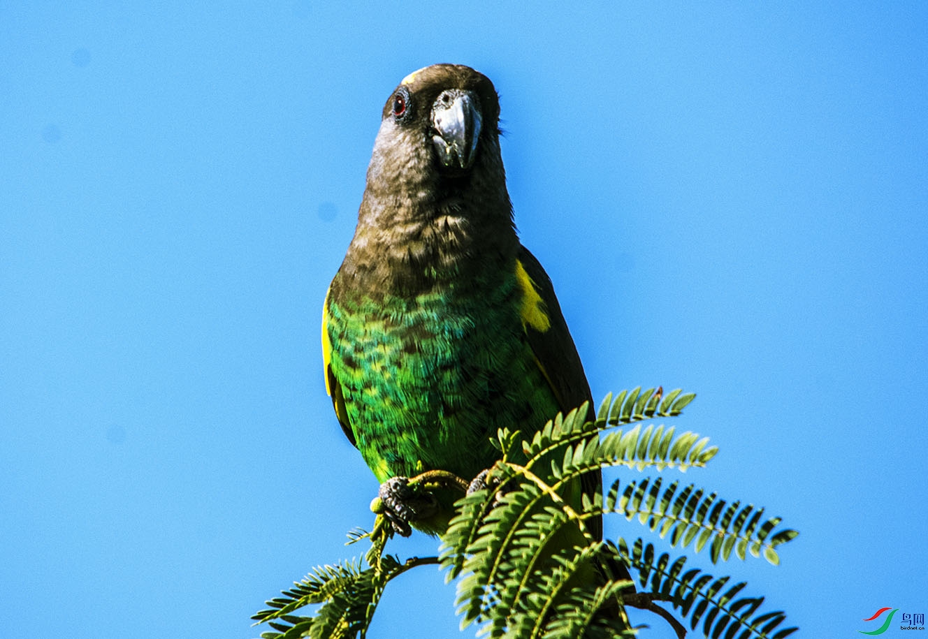 DSC_5855.jpg