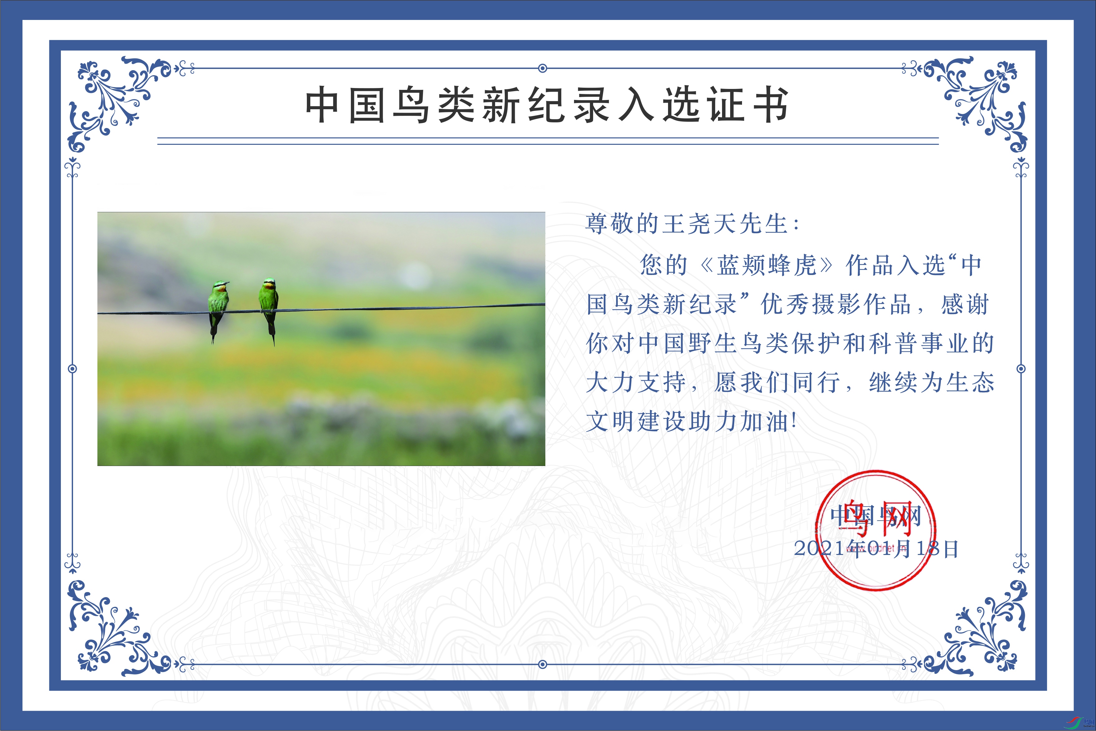���շ仢.jpg