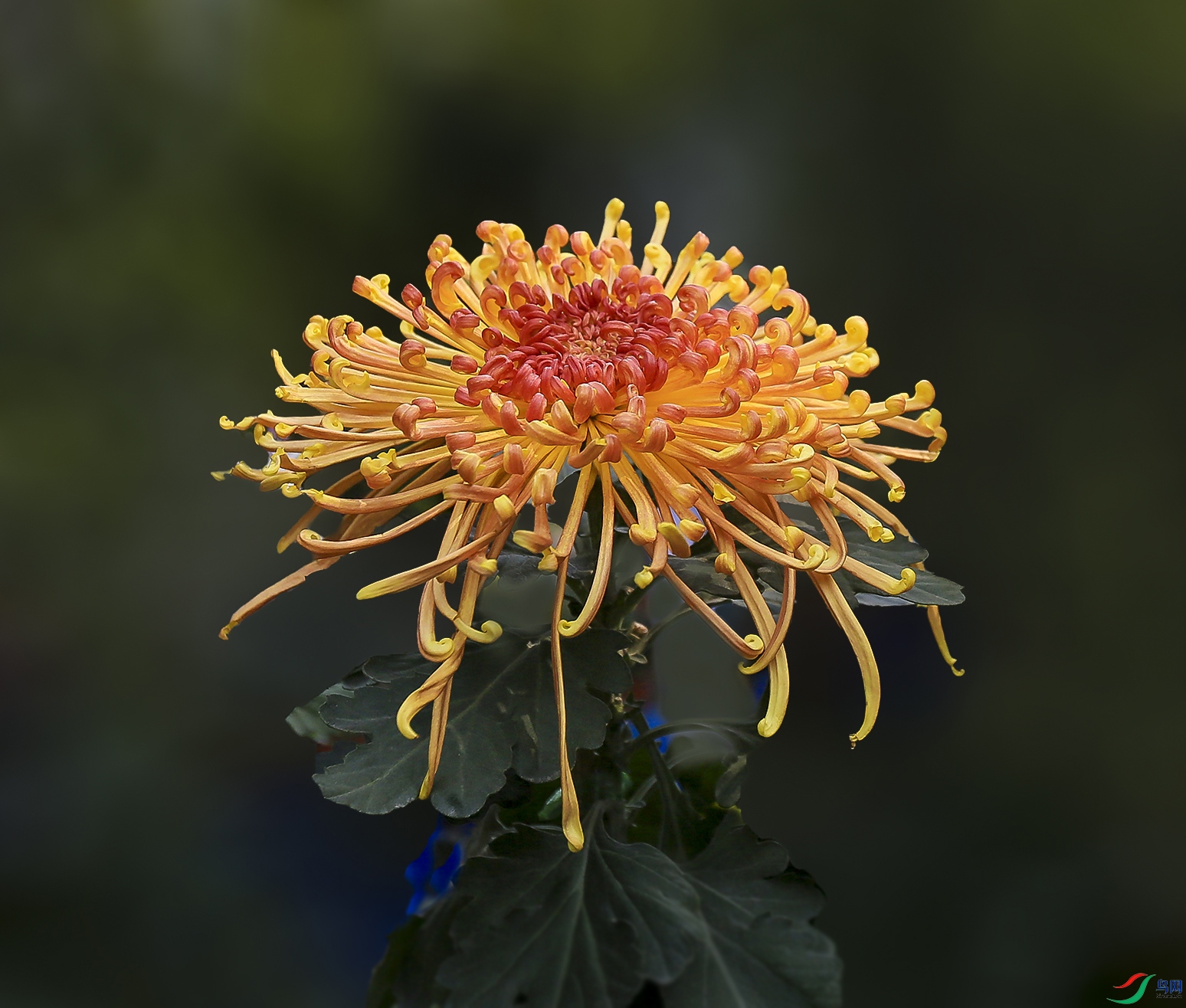 0016858322U9A0905�������� 1000k .jpg