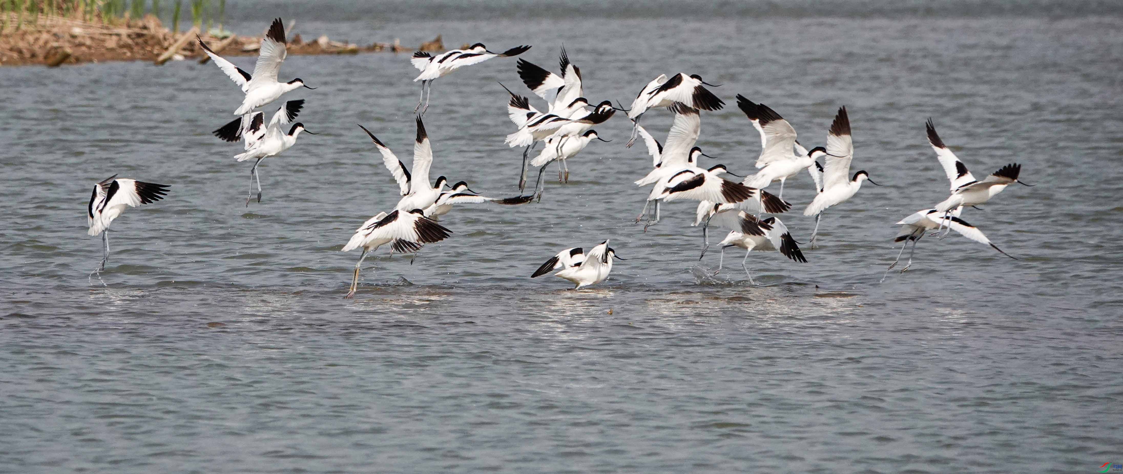 ������ ������ ���� 13863558898.JPG