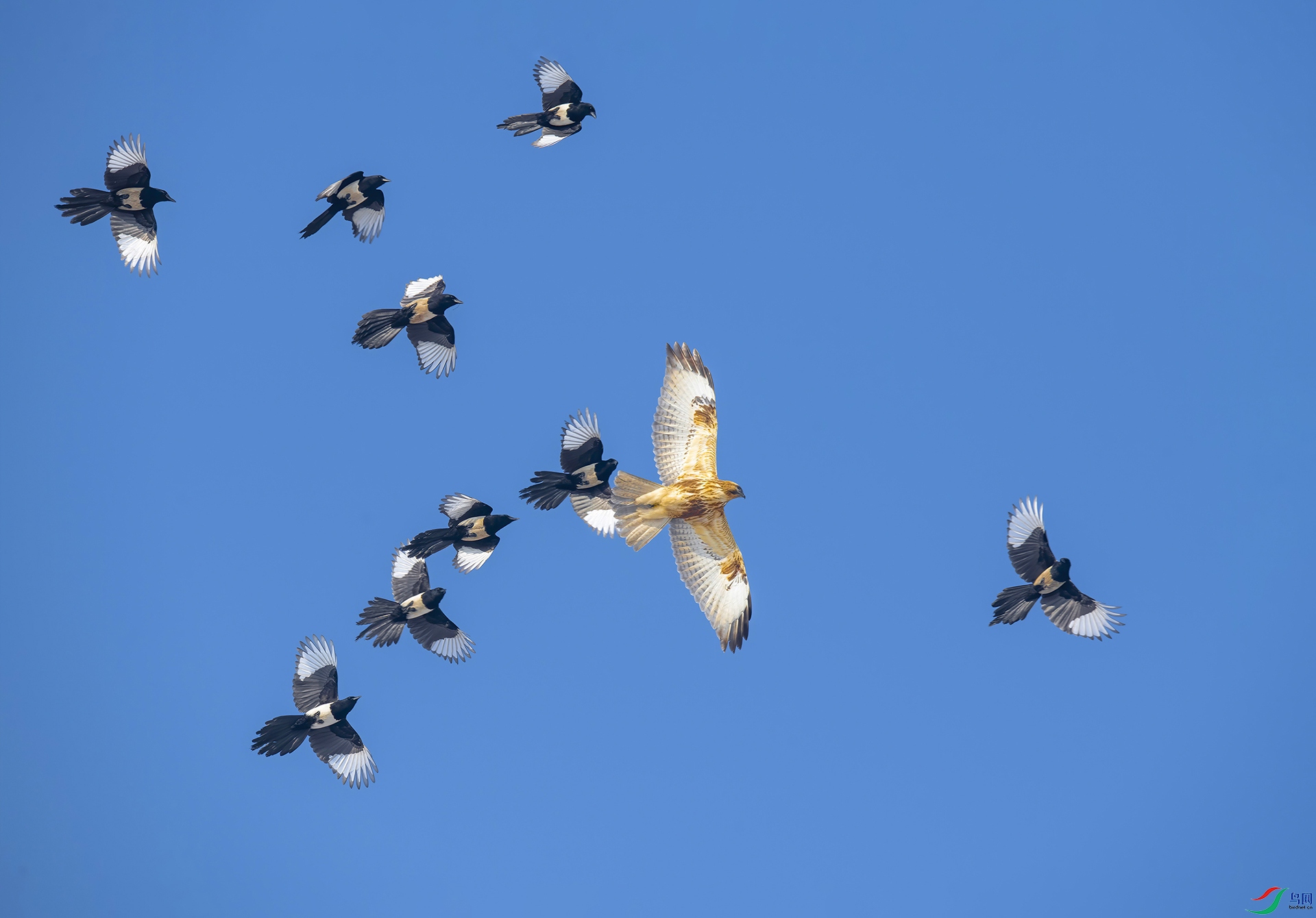 _8502432_1     ok.jpg