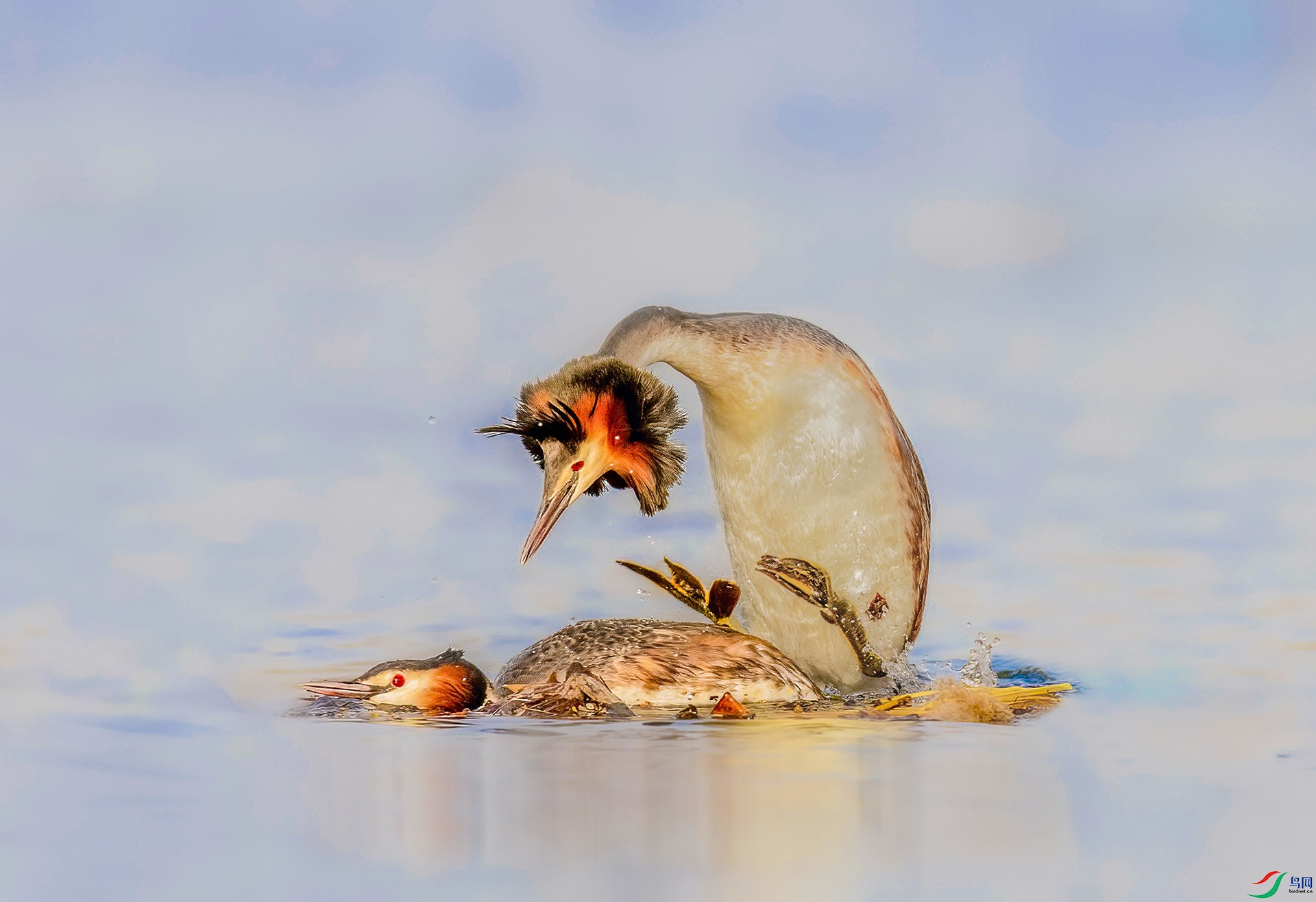 _JLN1561 ����OK.jpg