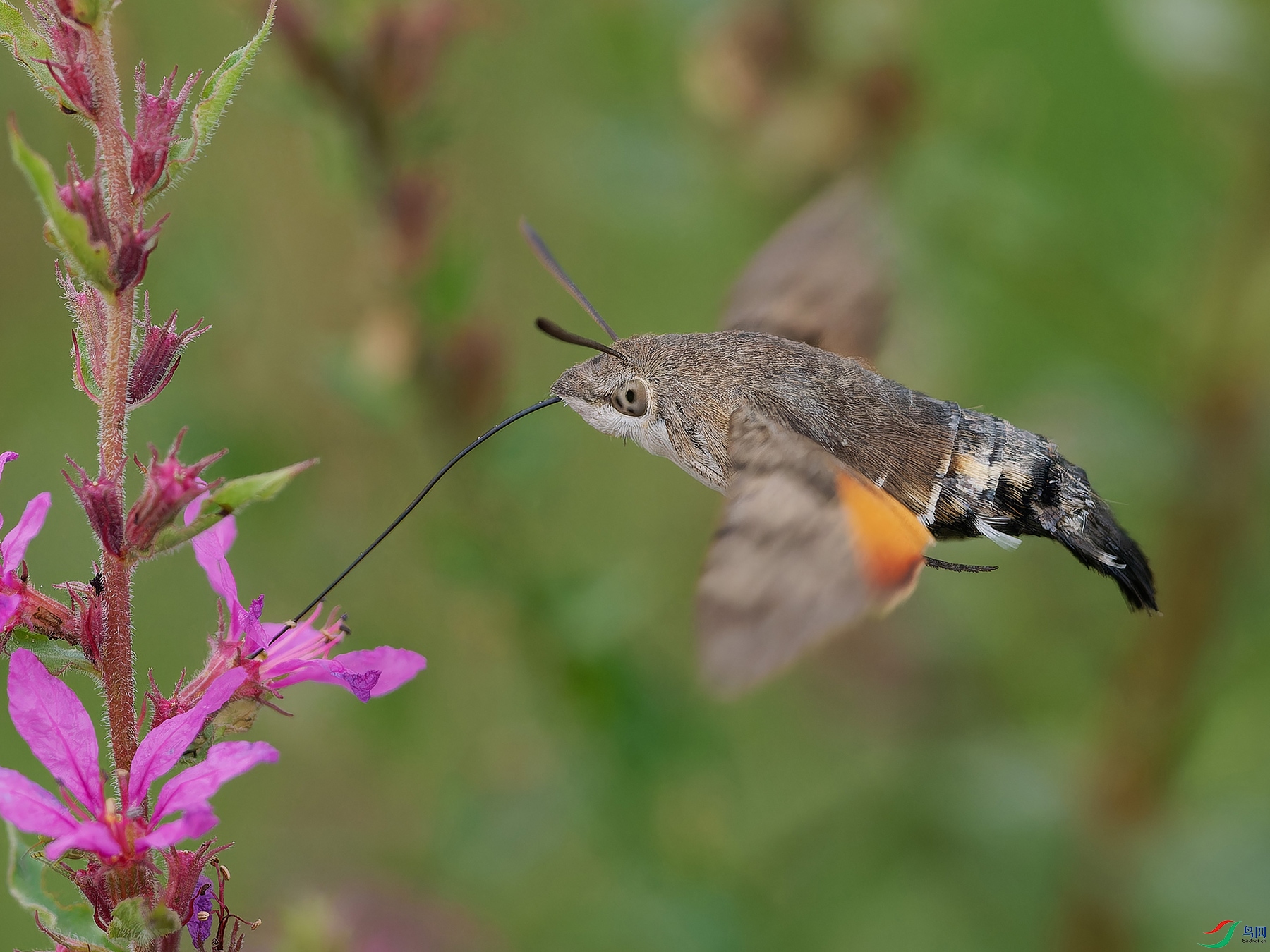 3-2.jpg