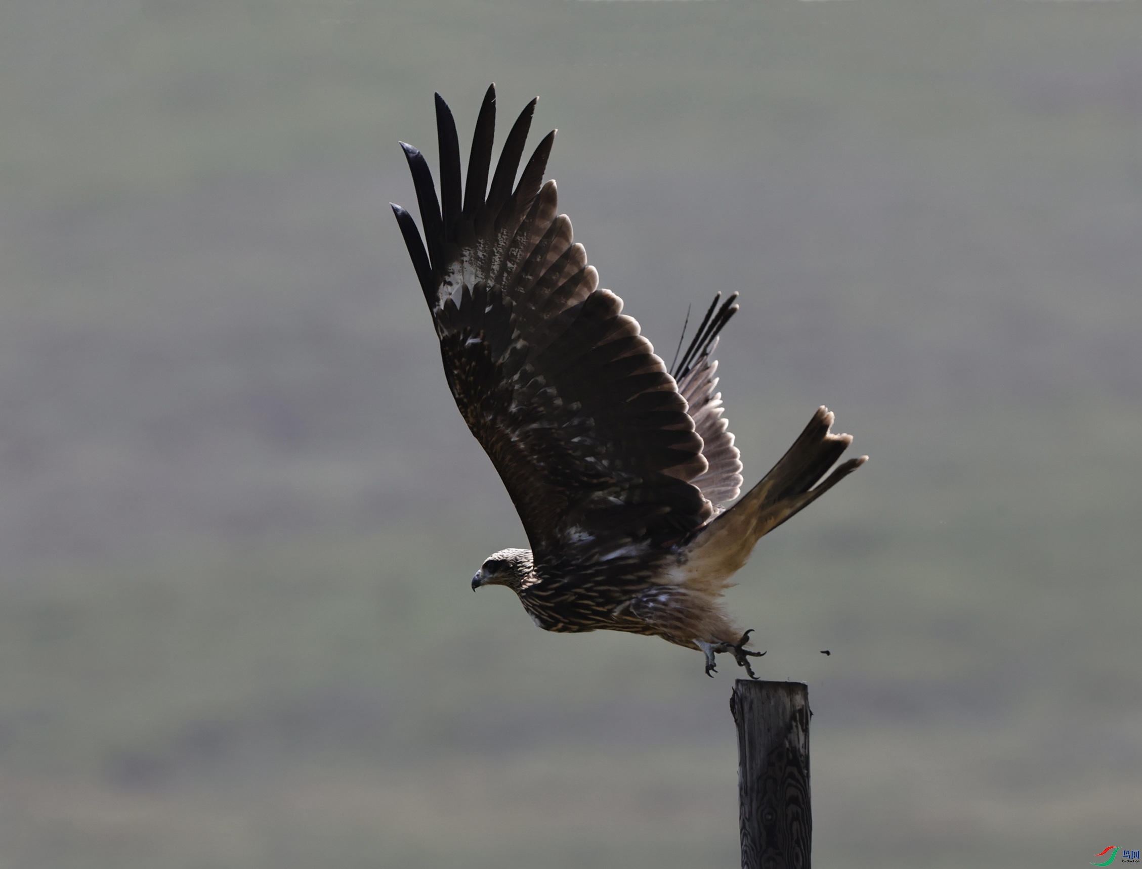 7X5A8413 - ����.JPG