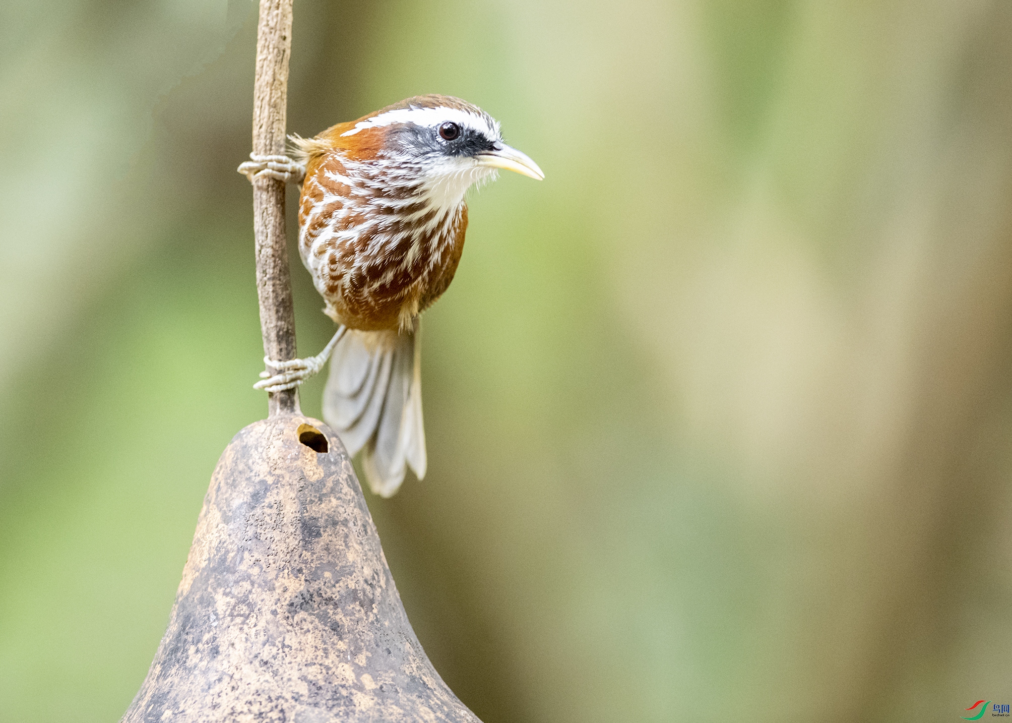 5713 ����.jpg