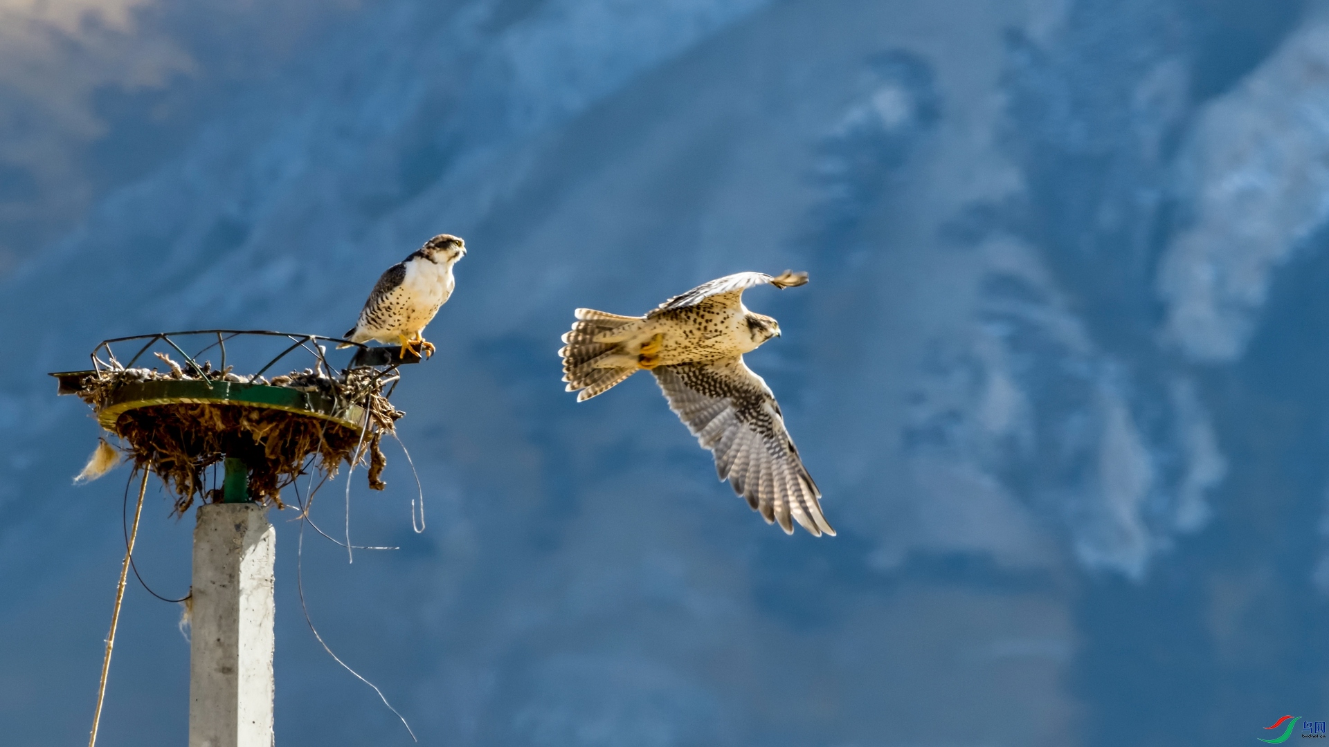 _DSC4561_����.jpg