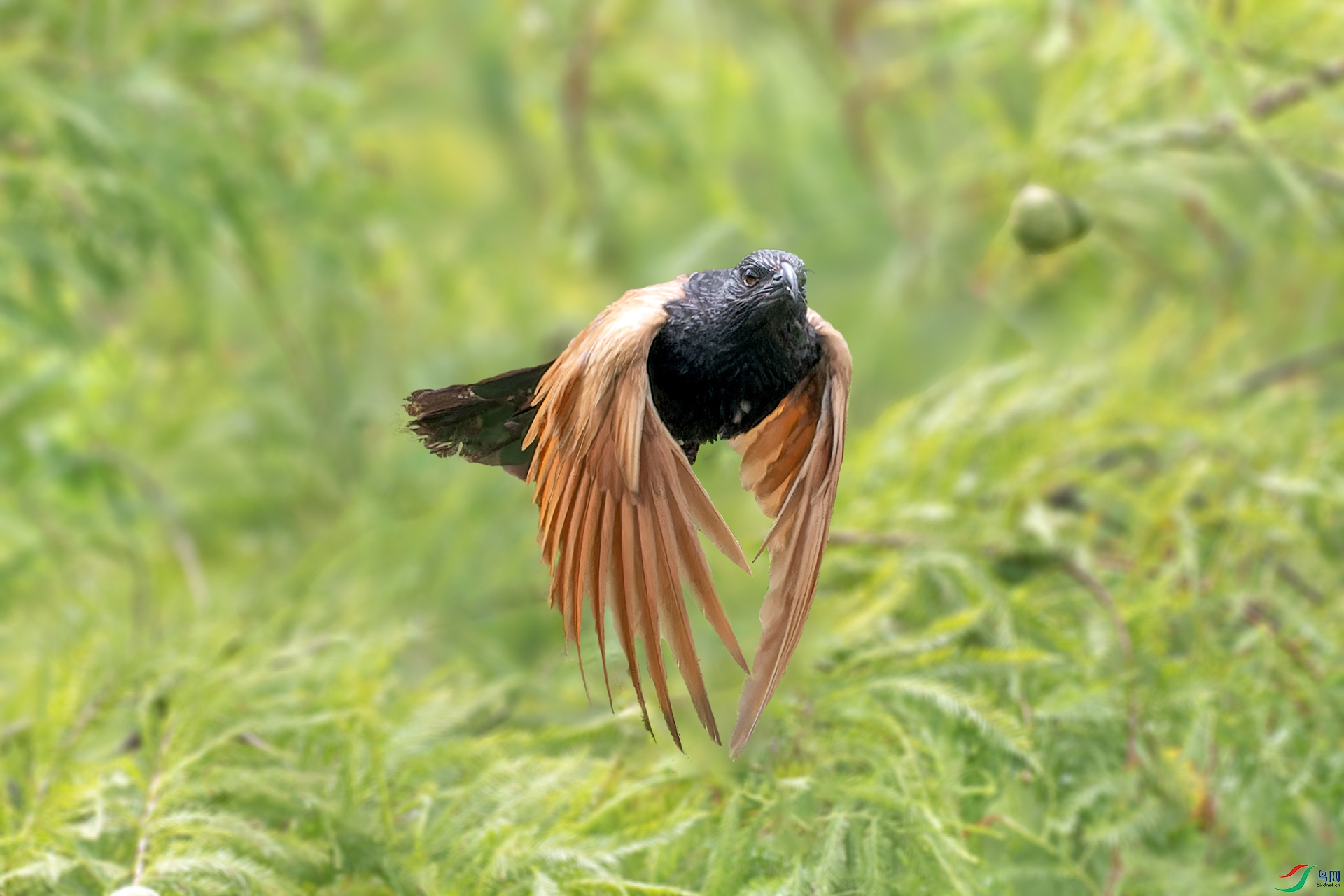 P8193365-ORF_DxO_DeepPRIMEXD.jpg