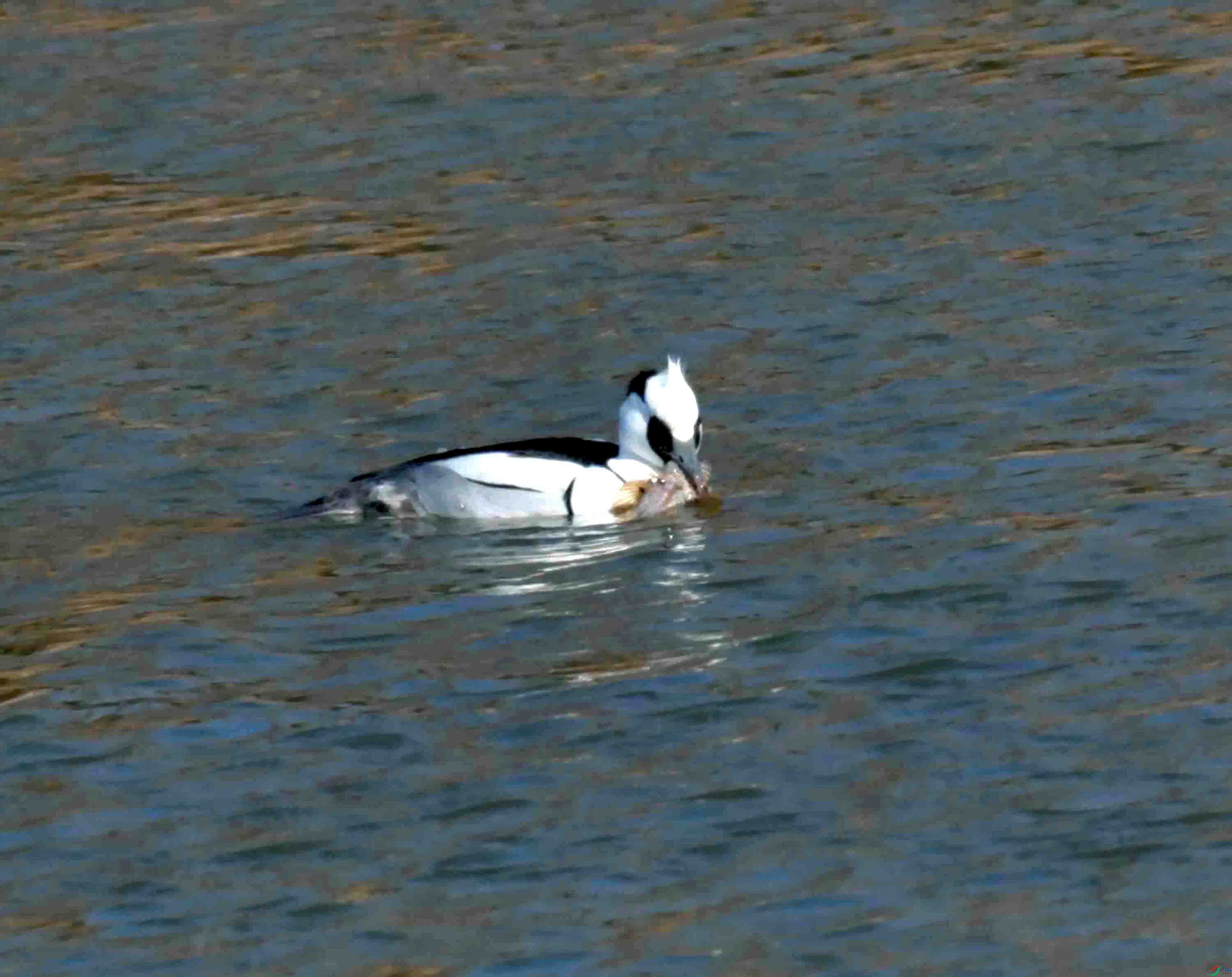 DSC_5415.JPG