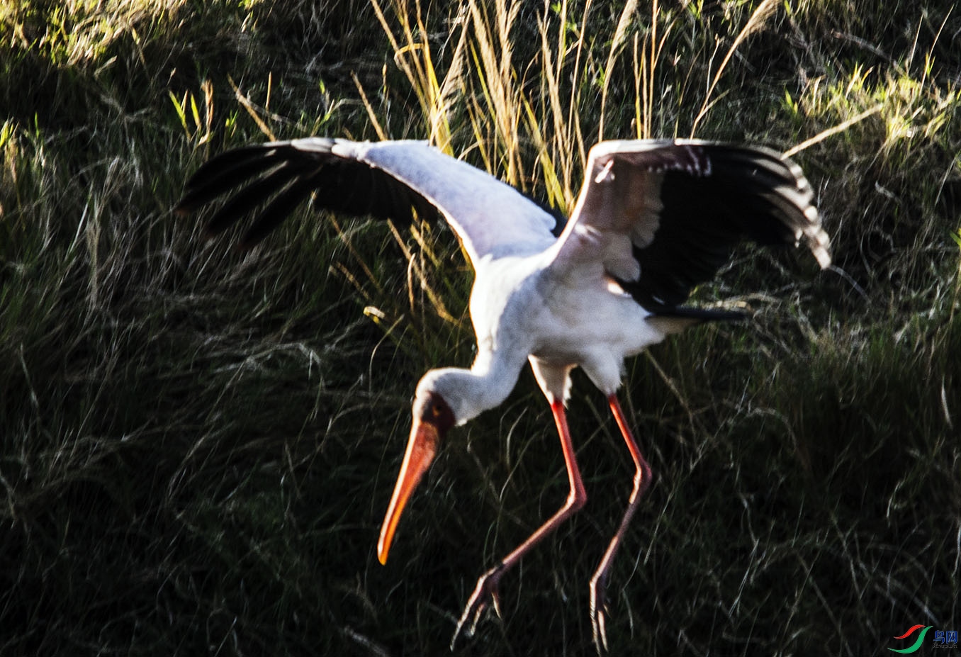 DSC_5569.jpg