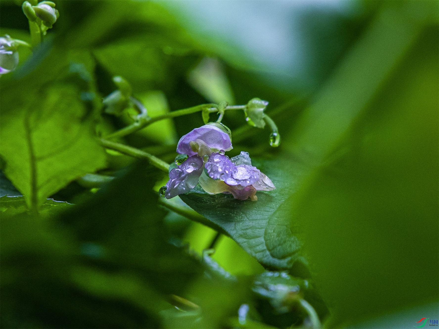 CY4A9946 ����1.jpg