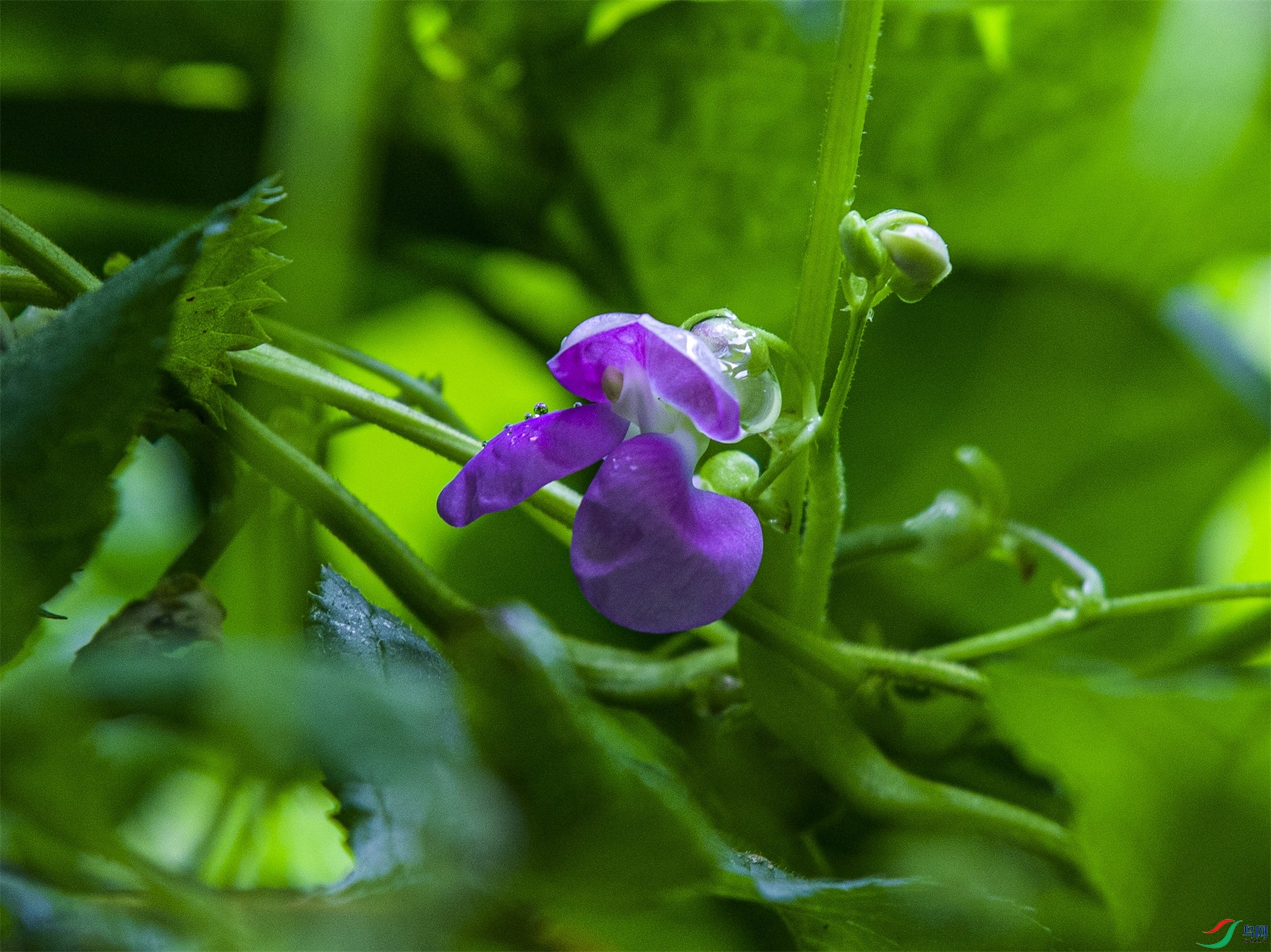 CY4A9949 ����1.jpg