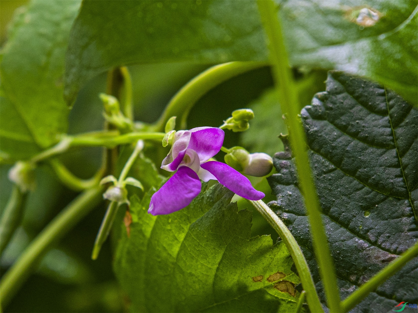 CY4A9955 ����1.jpg