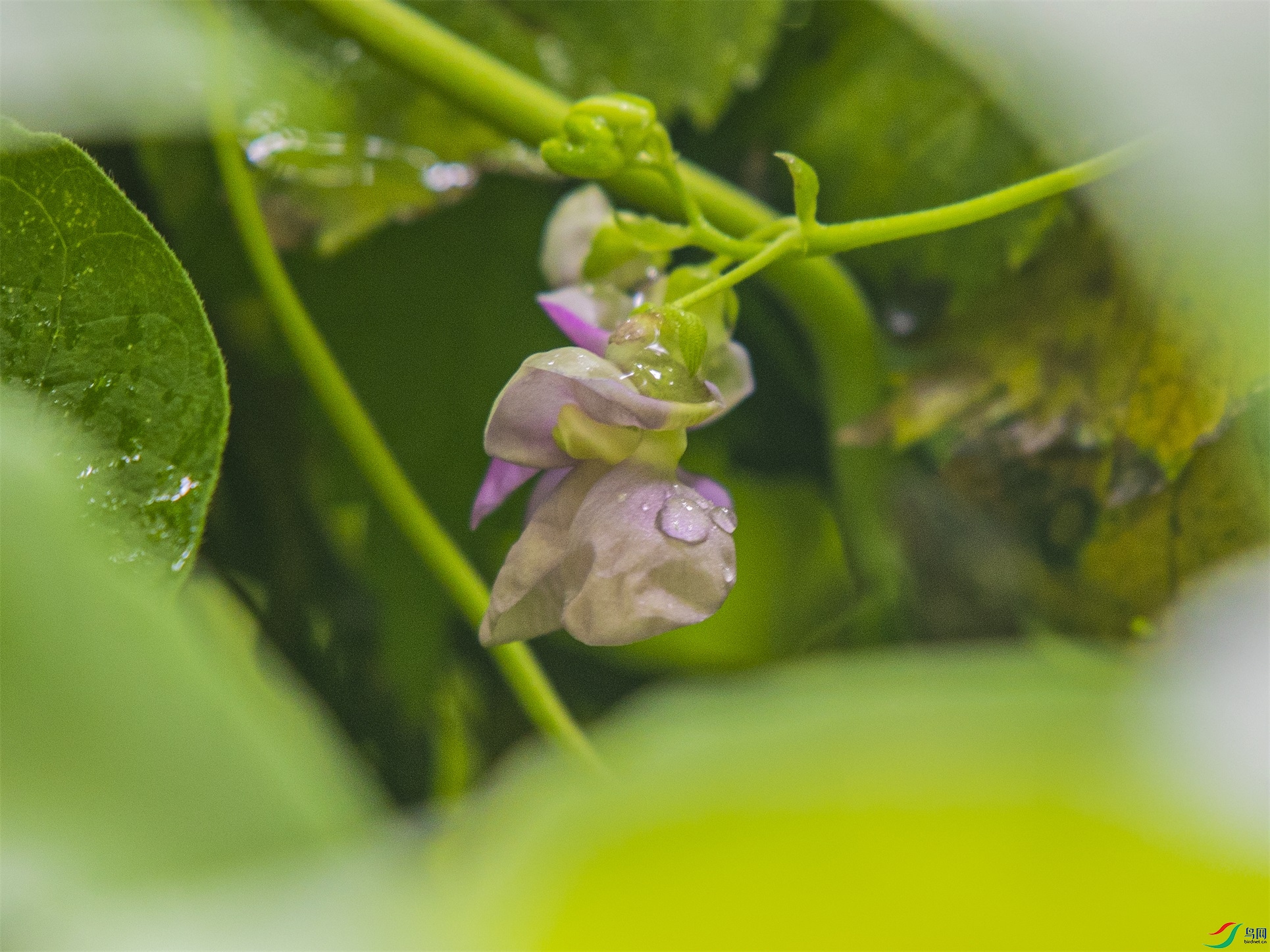 CY4A9937 ����1.jpg