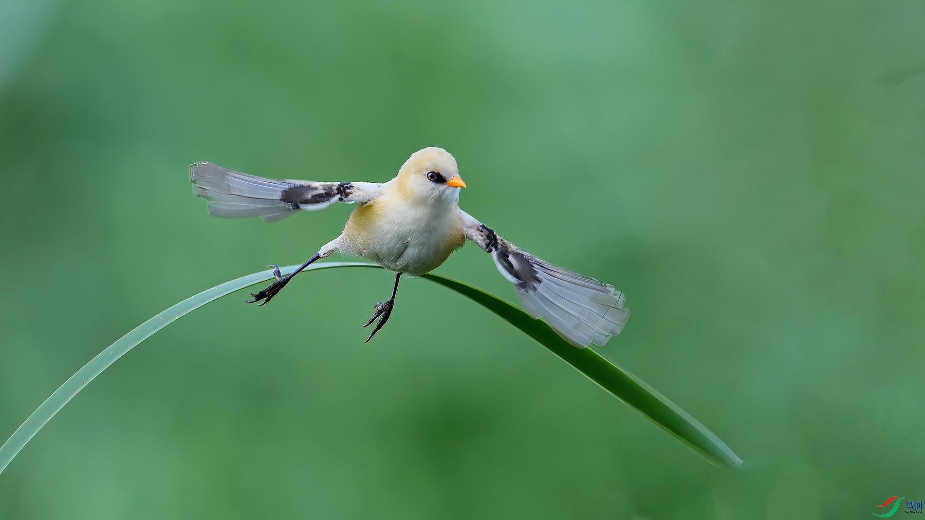 Picture 1224832-1.jpg