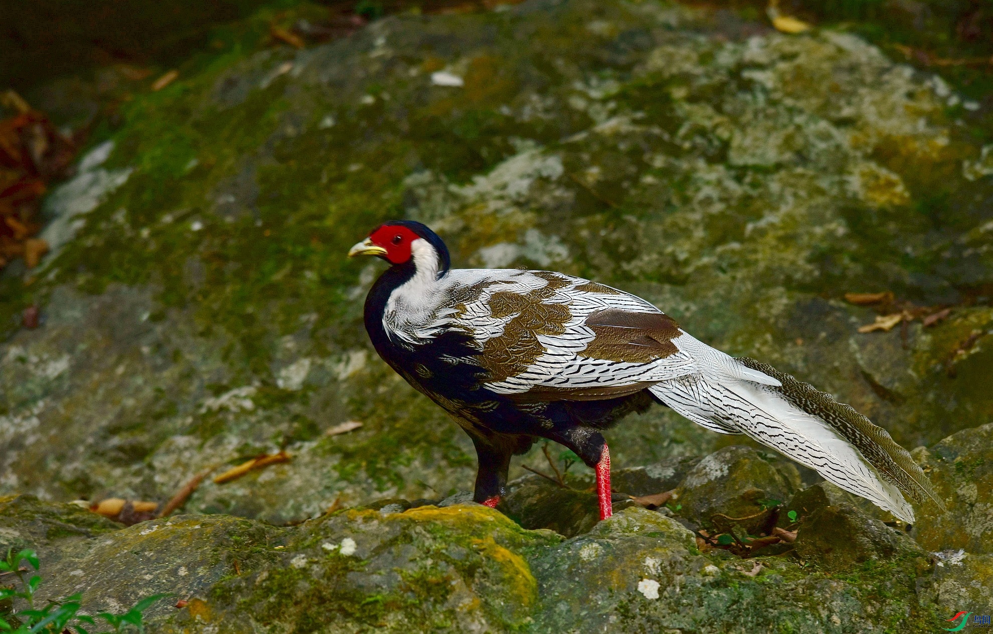 D8I_8574.jpg