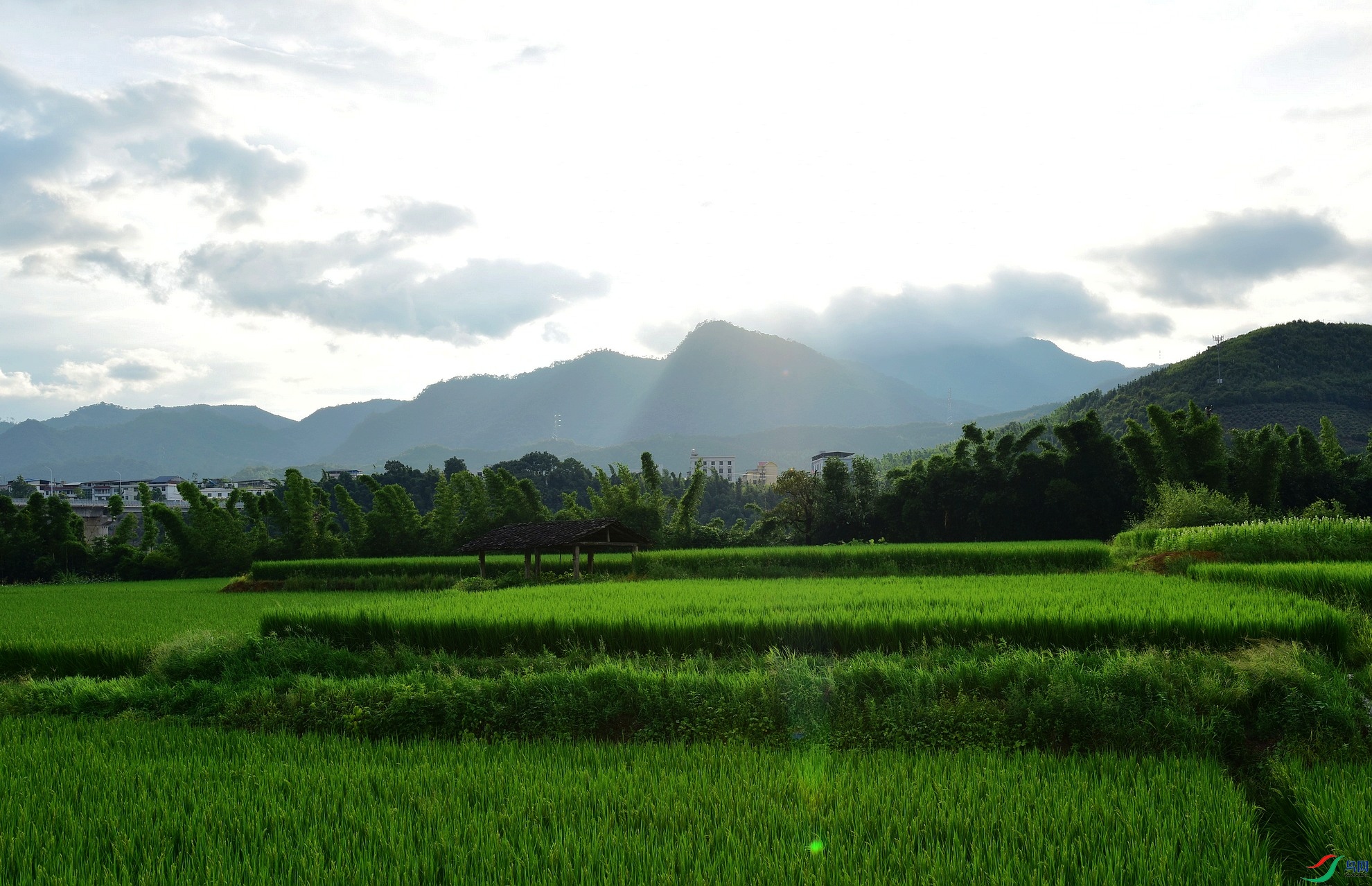 D8I_2746.jpg