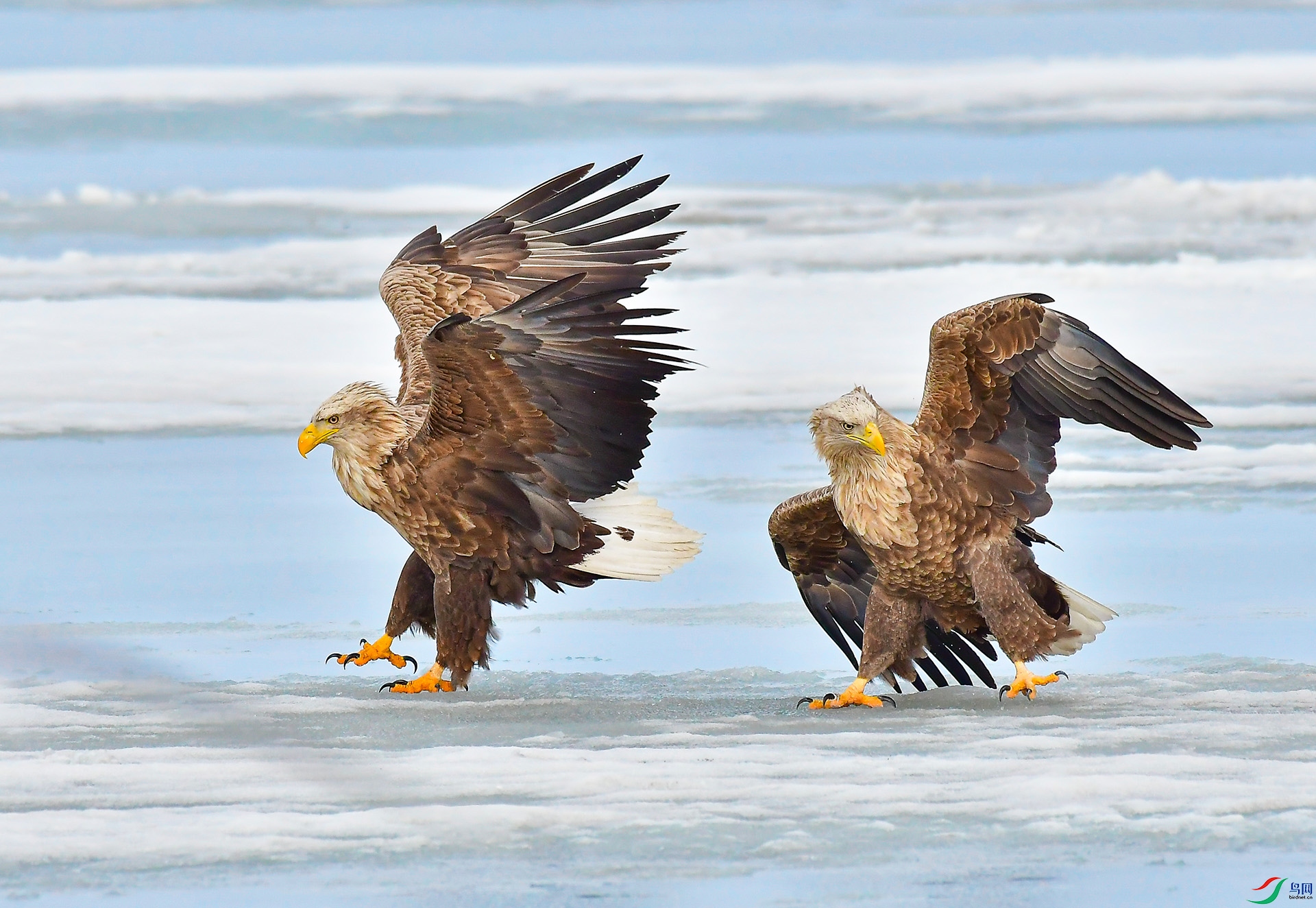 DSC_7400 -1.jpg