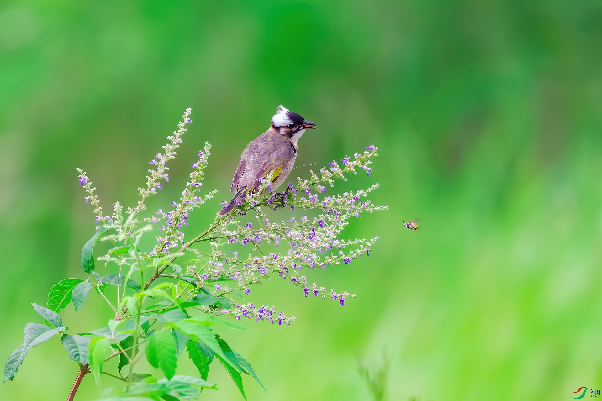 _MG_6816.jpg