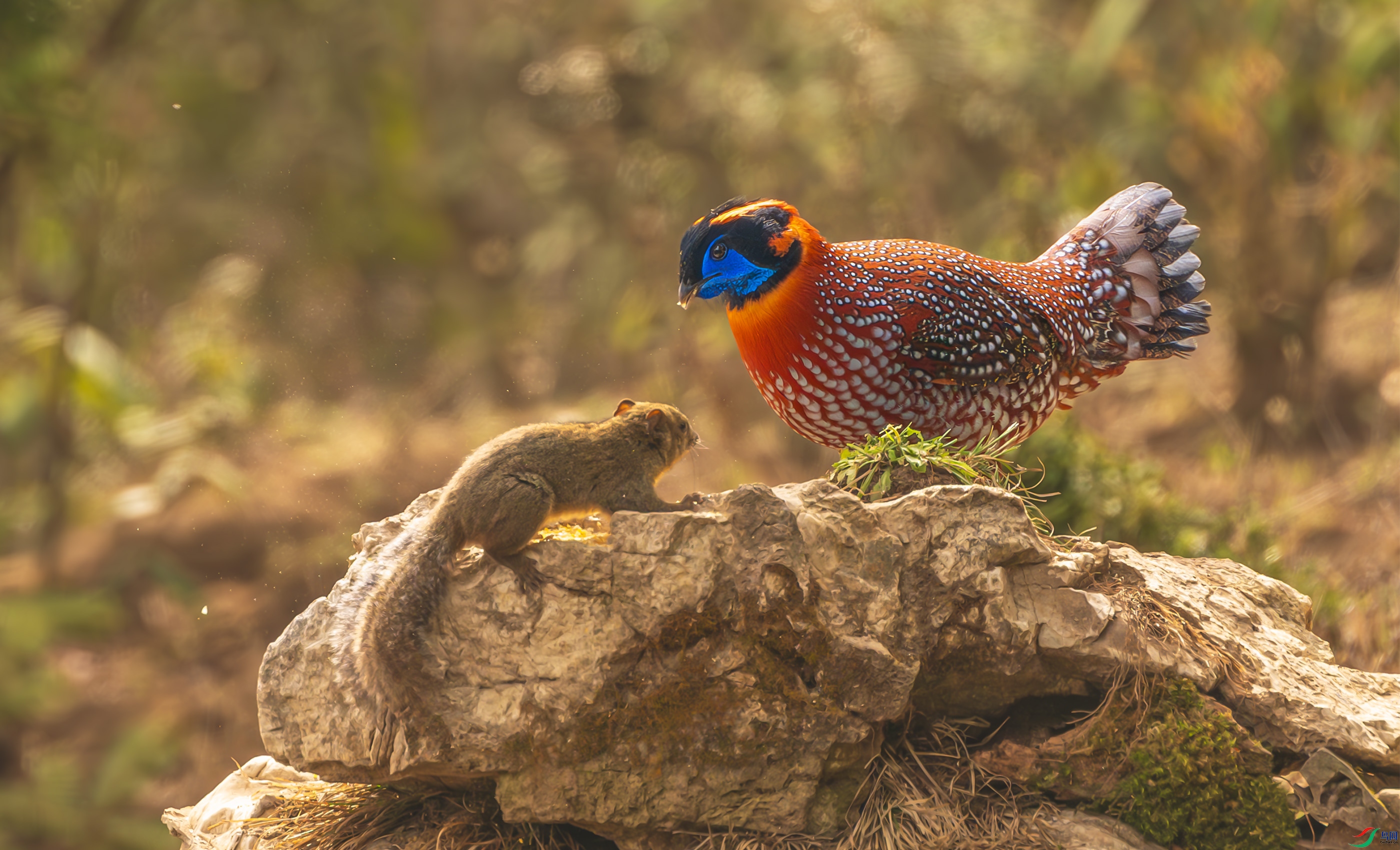 DSC_0040-2.jpg