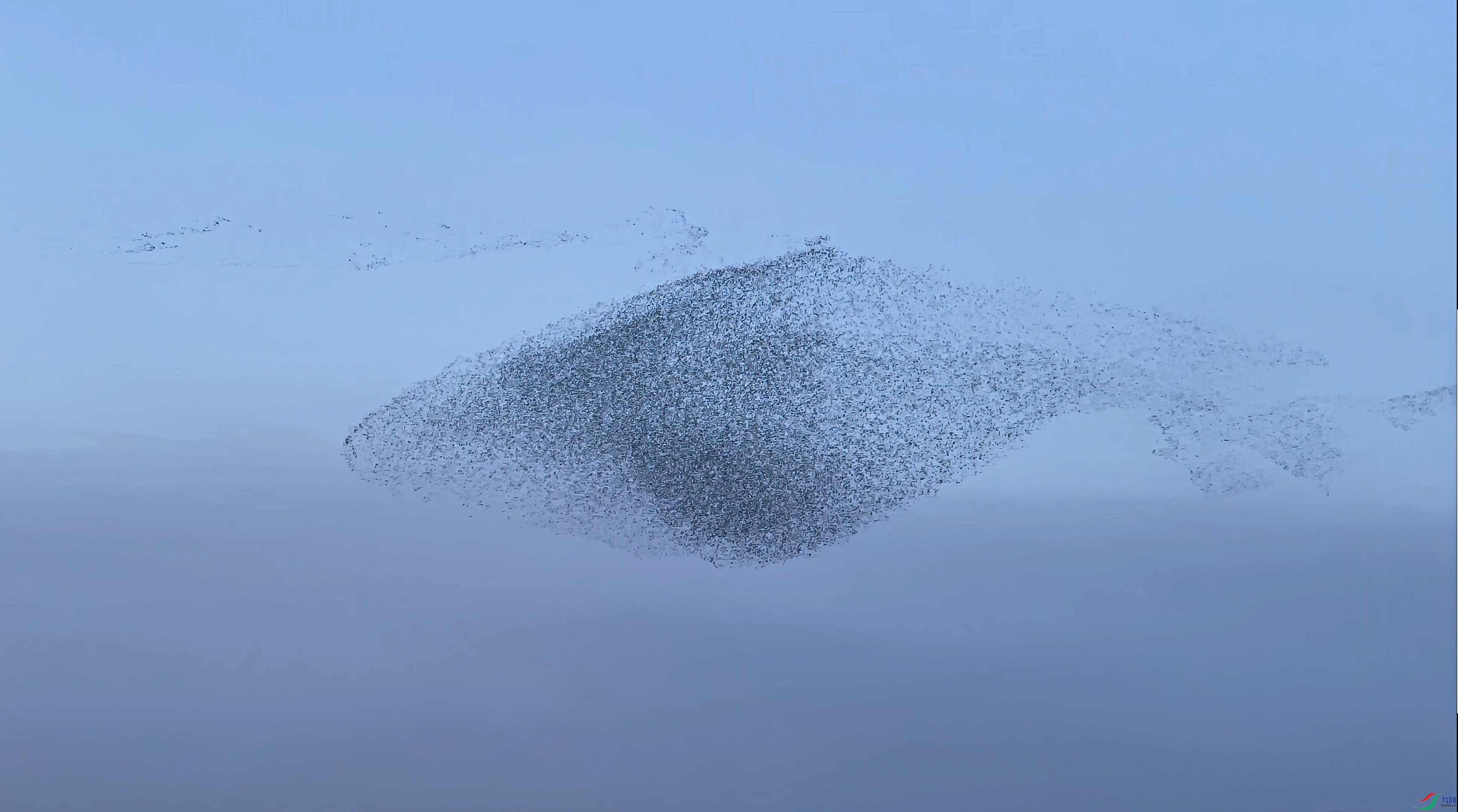 1693451658512.jpg