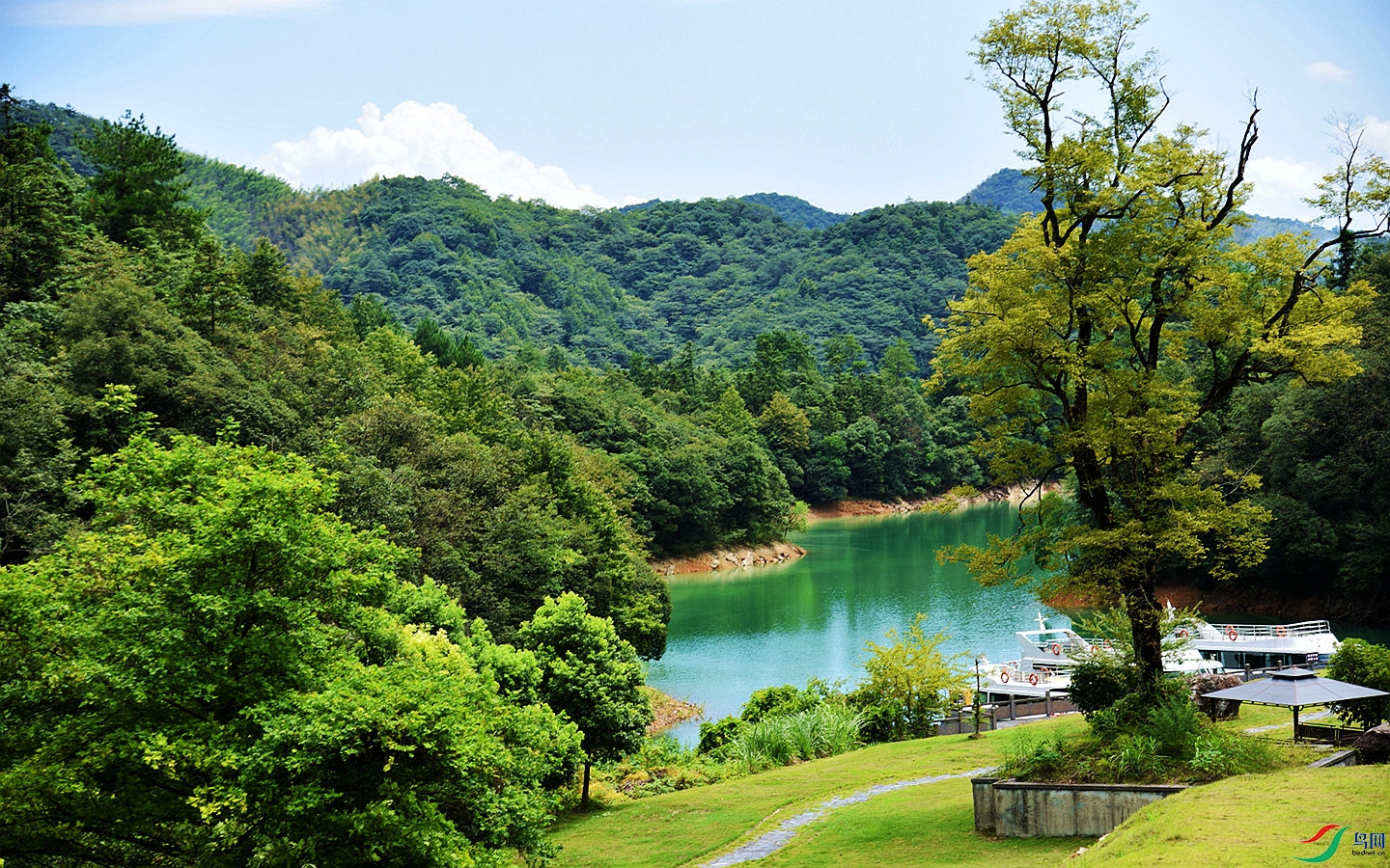 268 (153)_����.jpg