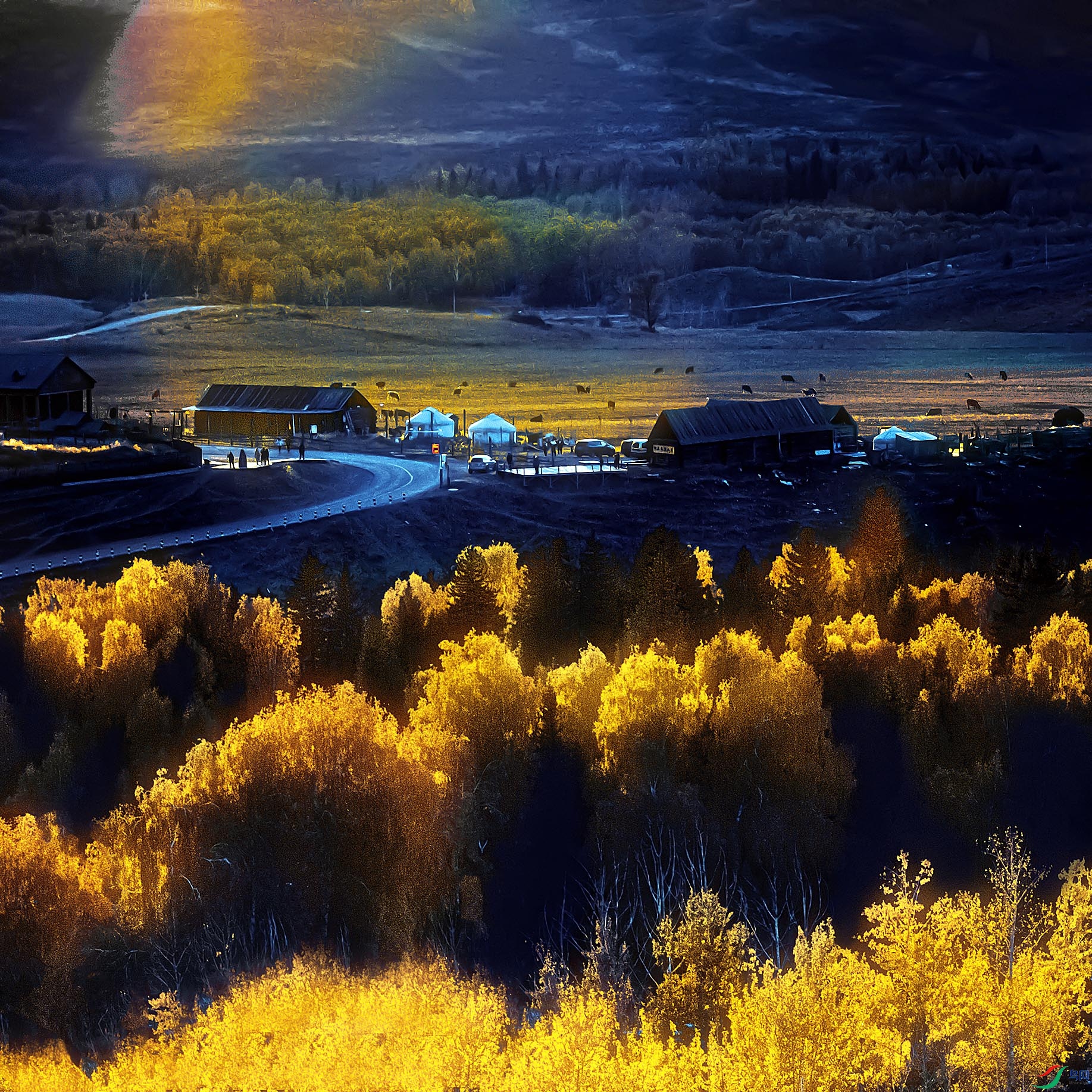 �װ͹�����������