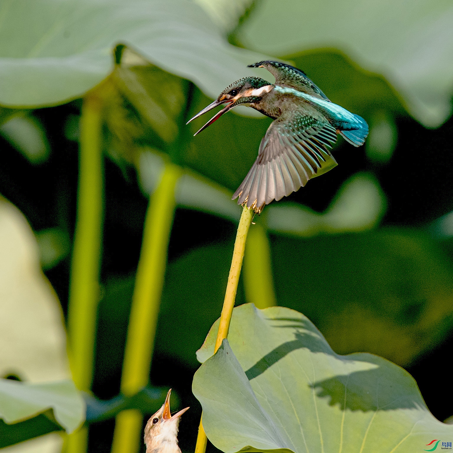 _90I4022 ���� 2.jpg