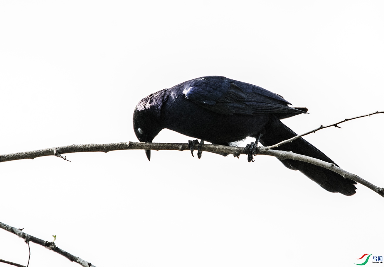 DSC_5241.jpg