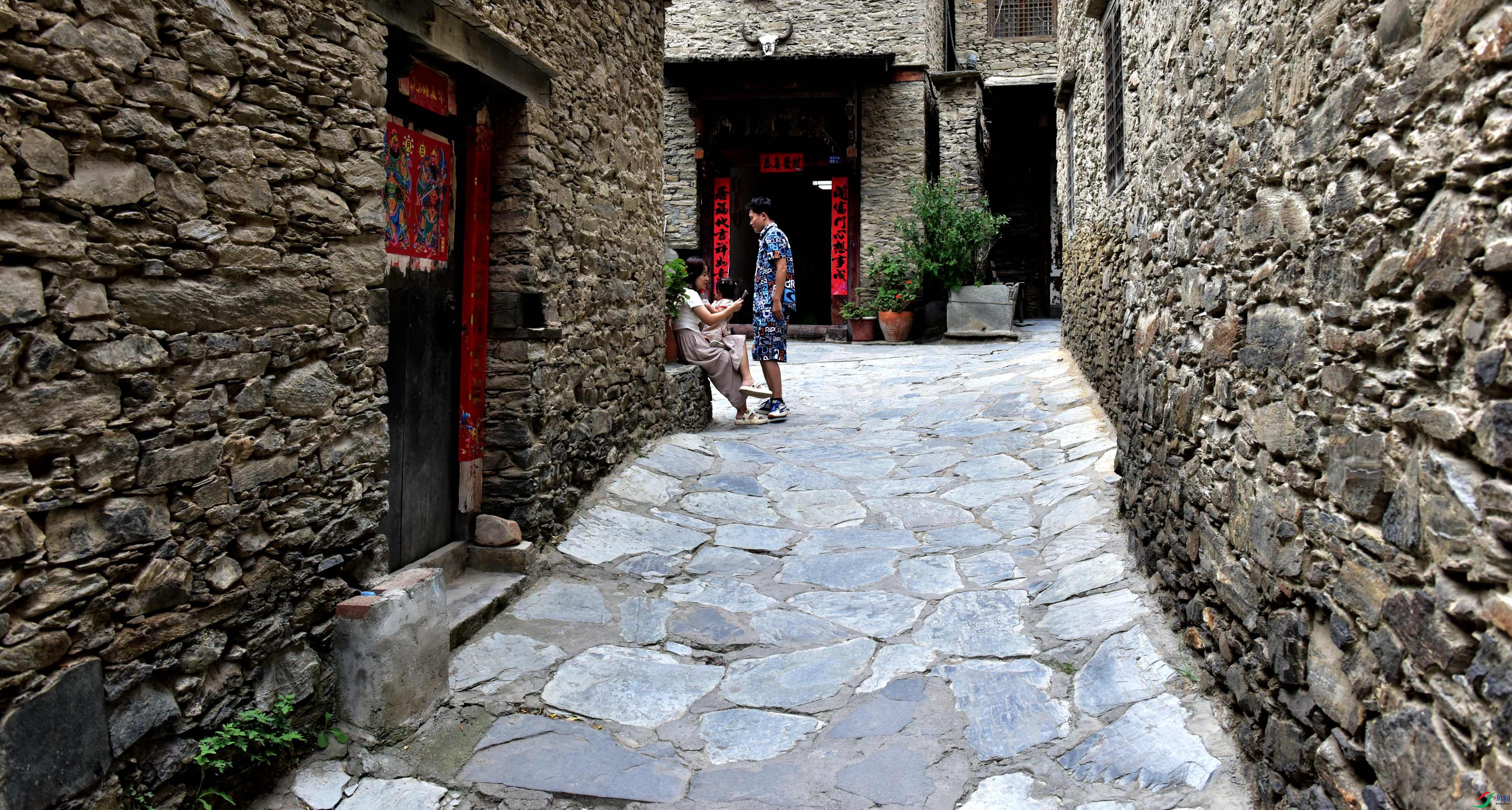 DSC_4800_conew1.jpg