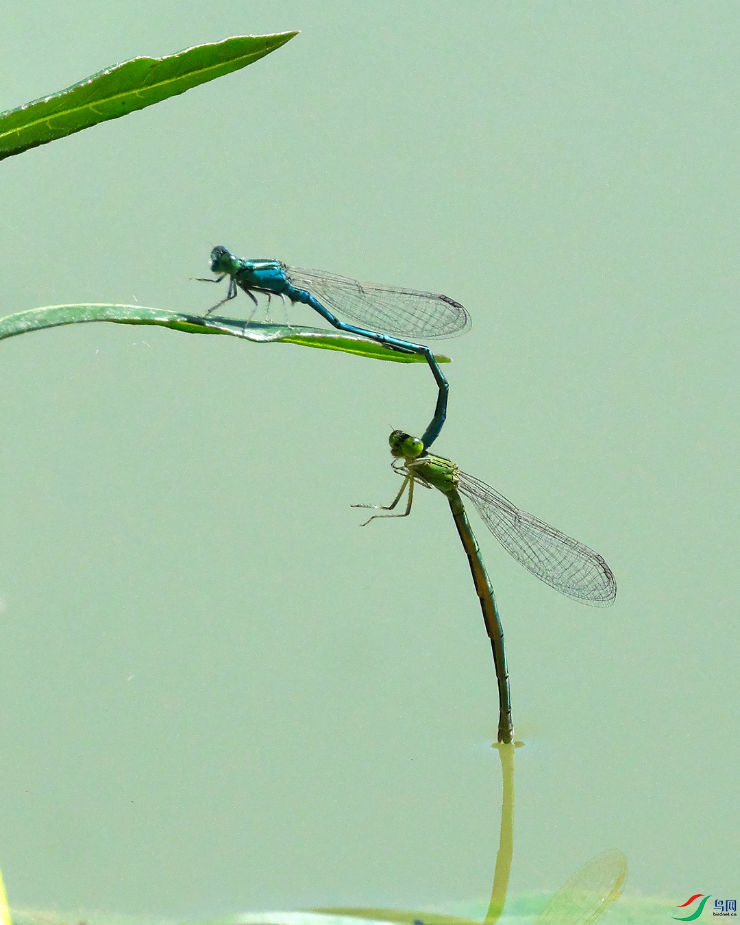 DSCF5817.jpg
