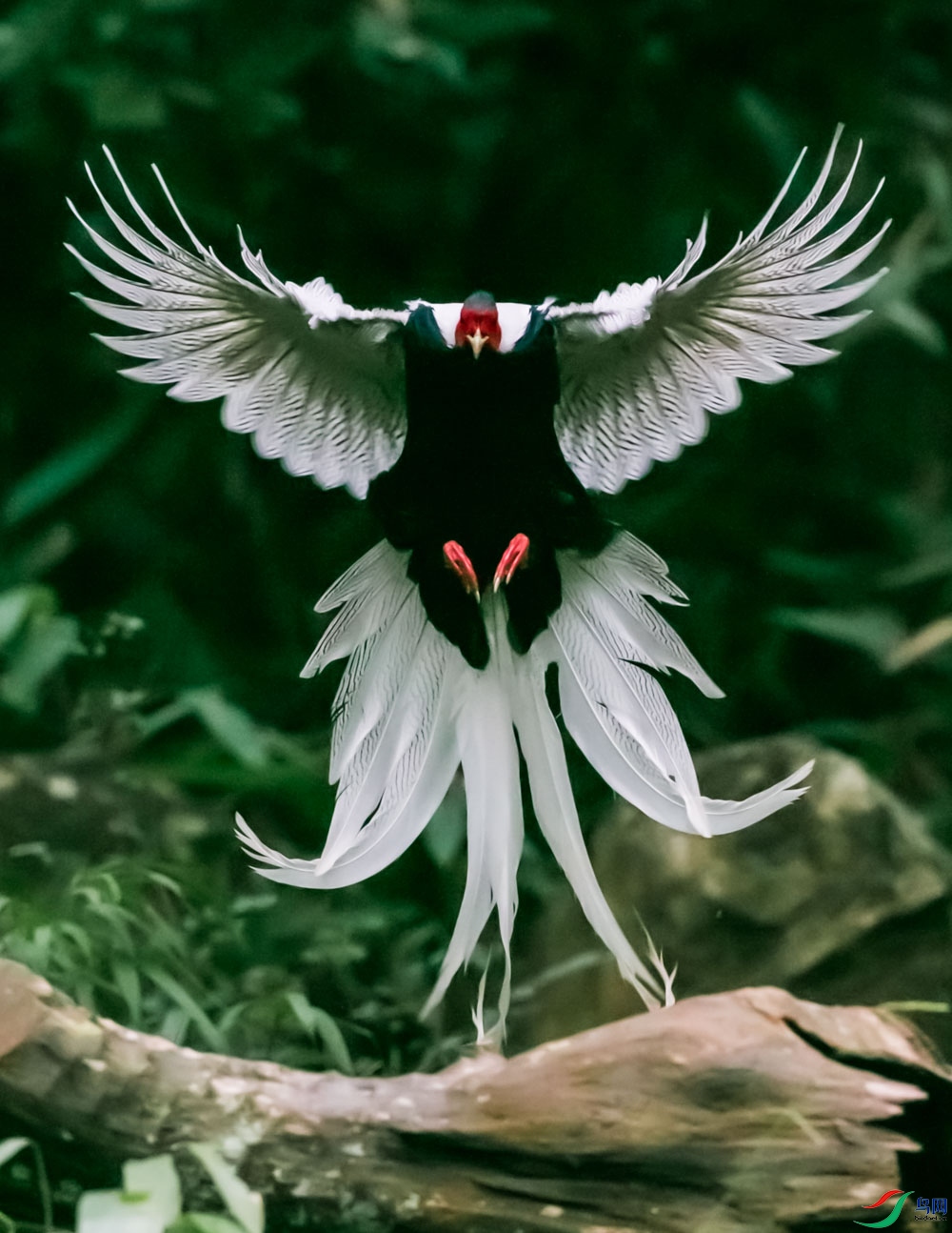 ����