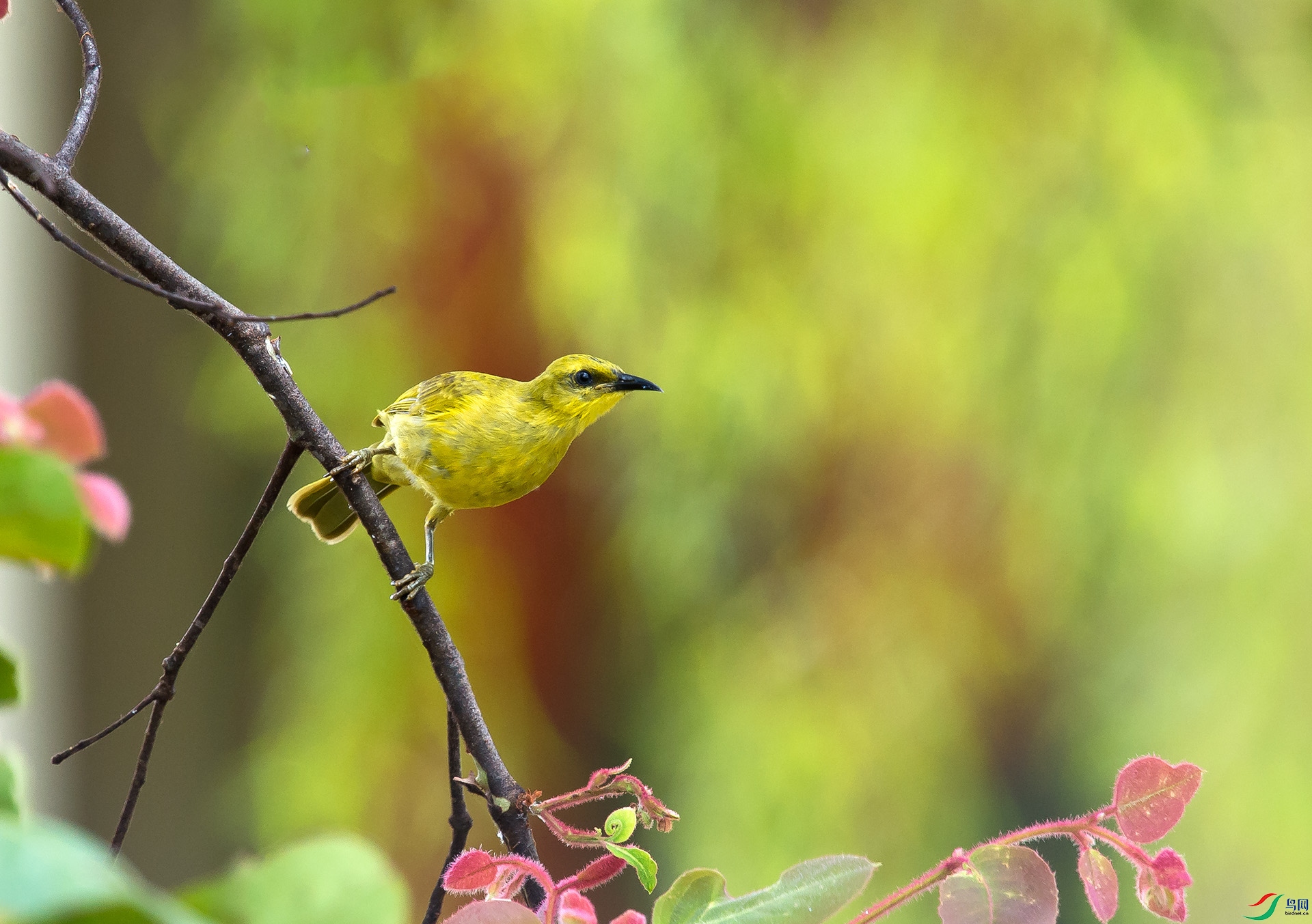 ��DSC_5841.jpg