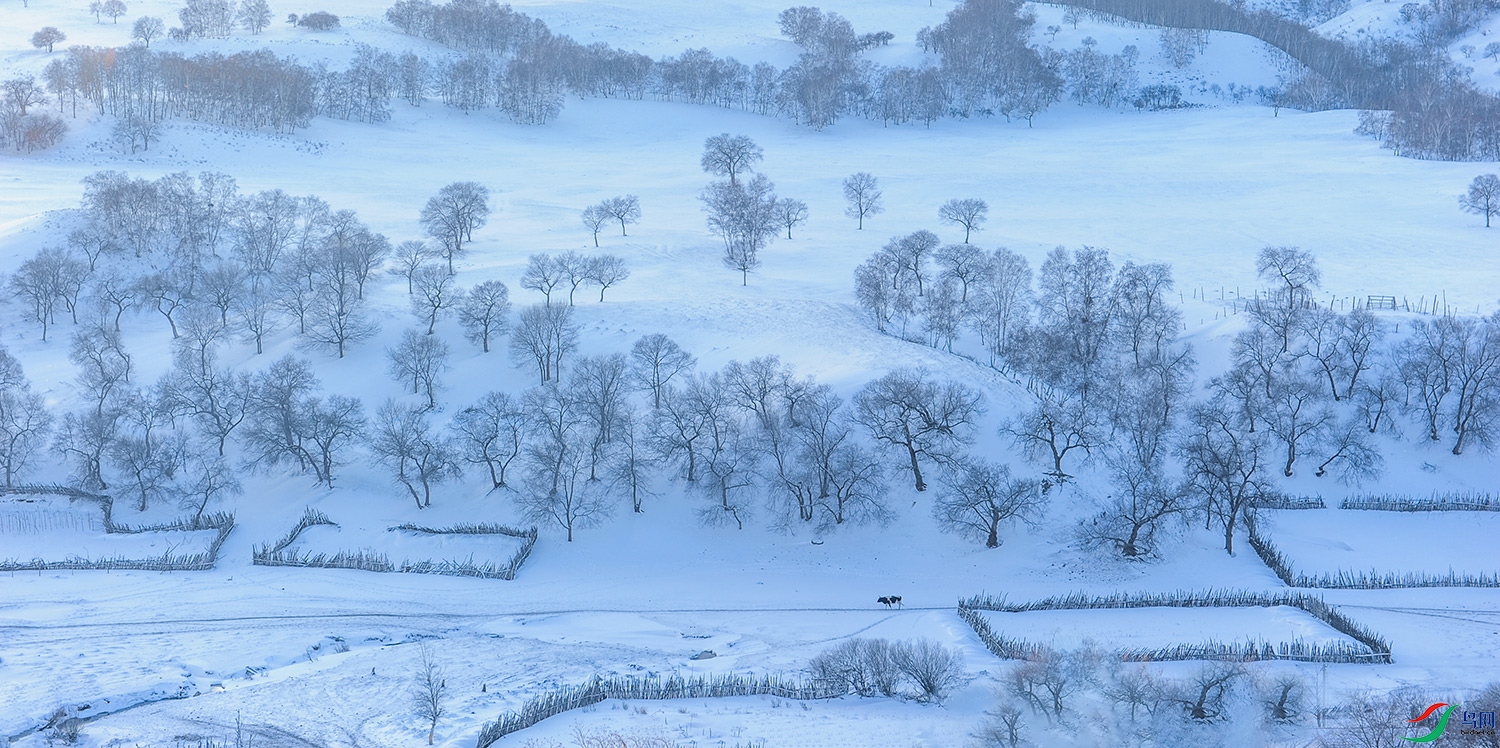 DSC_1507-1.jpg