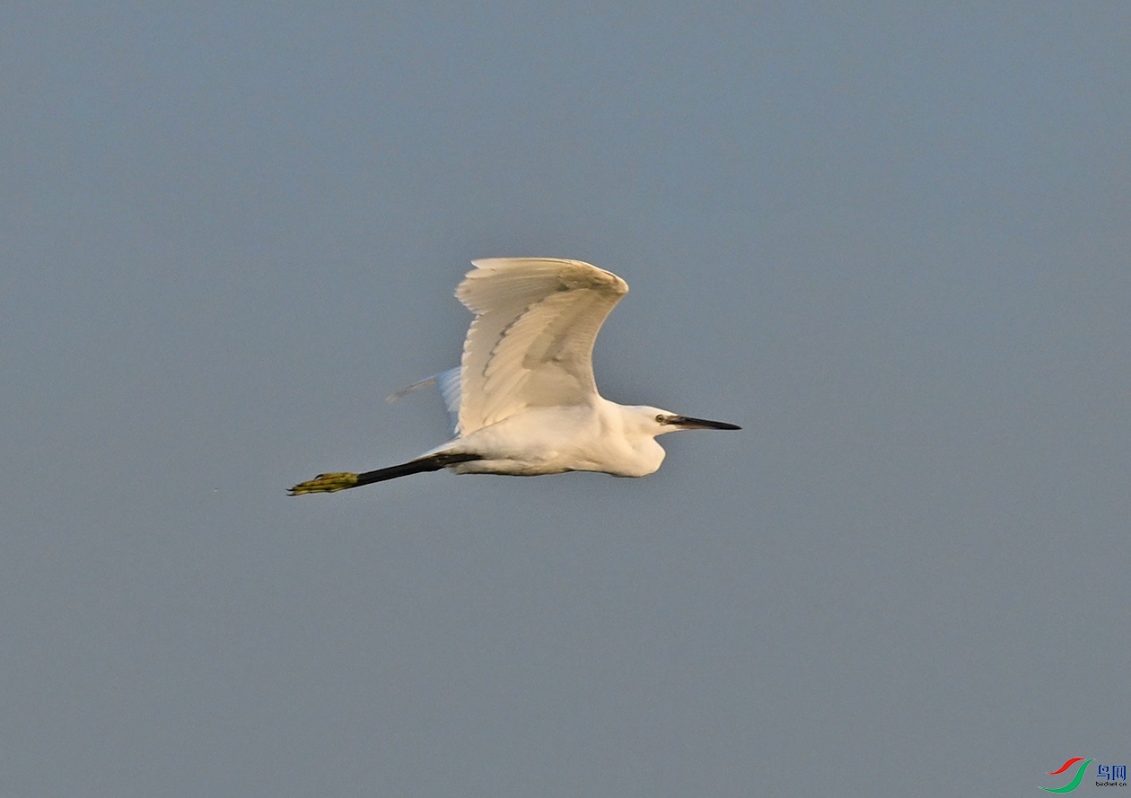 DSC_1505.jpg