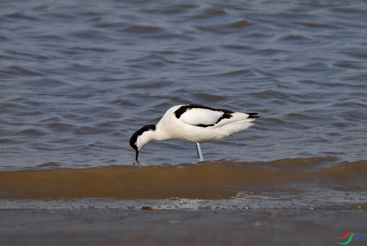 DSC_4251.jpg