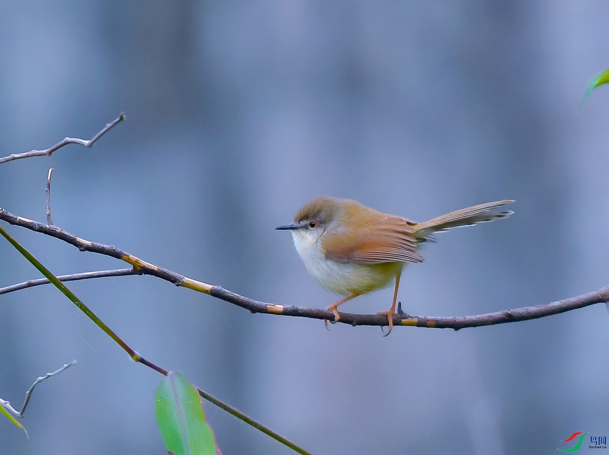 DSC_0944.JPG