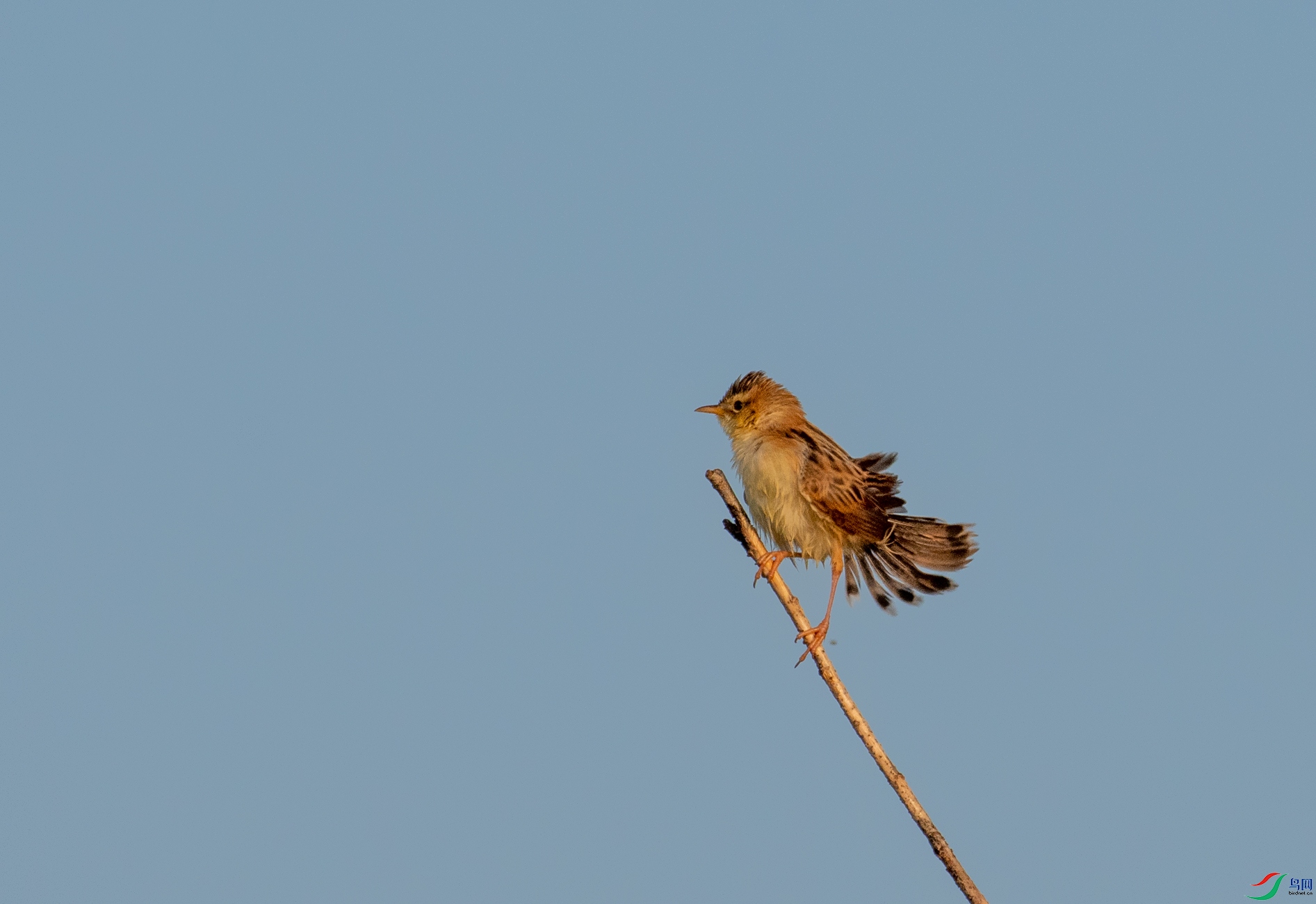 DSC_9240.jpg