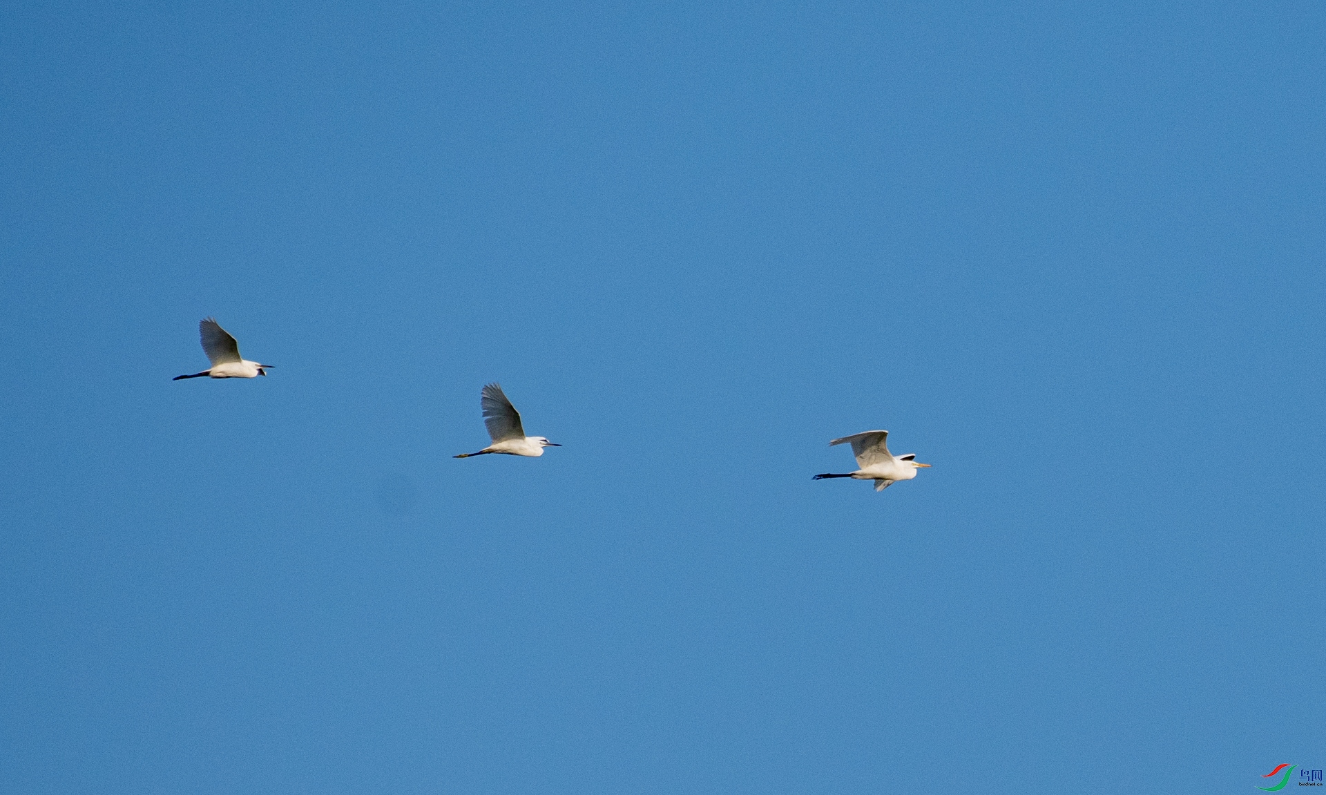 DSC_9248.jpg