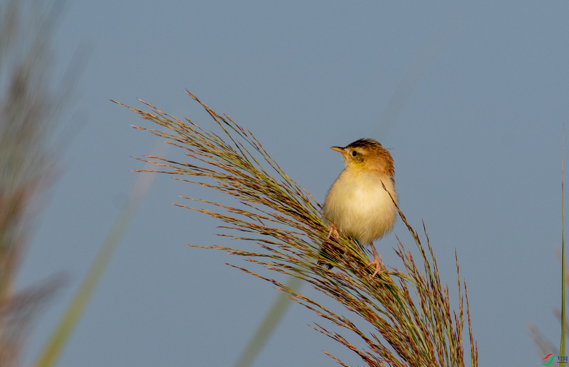 DSC_9358.jpg